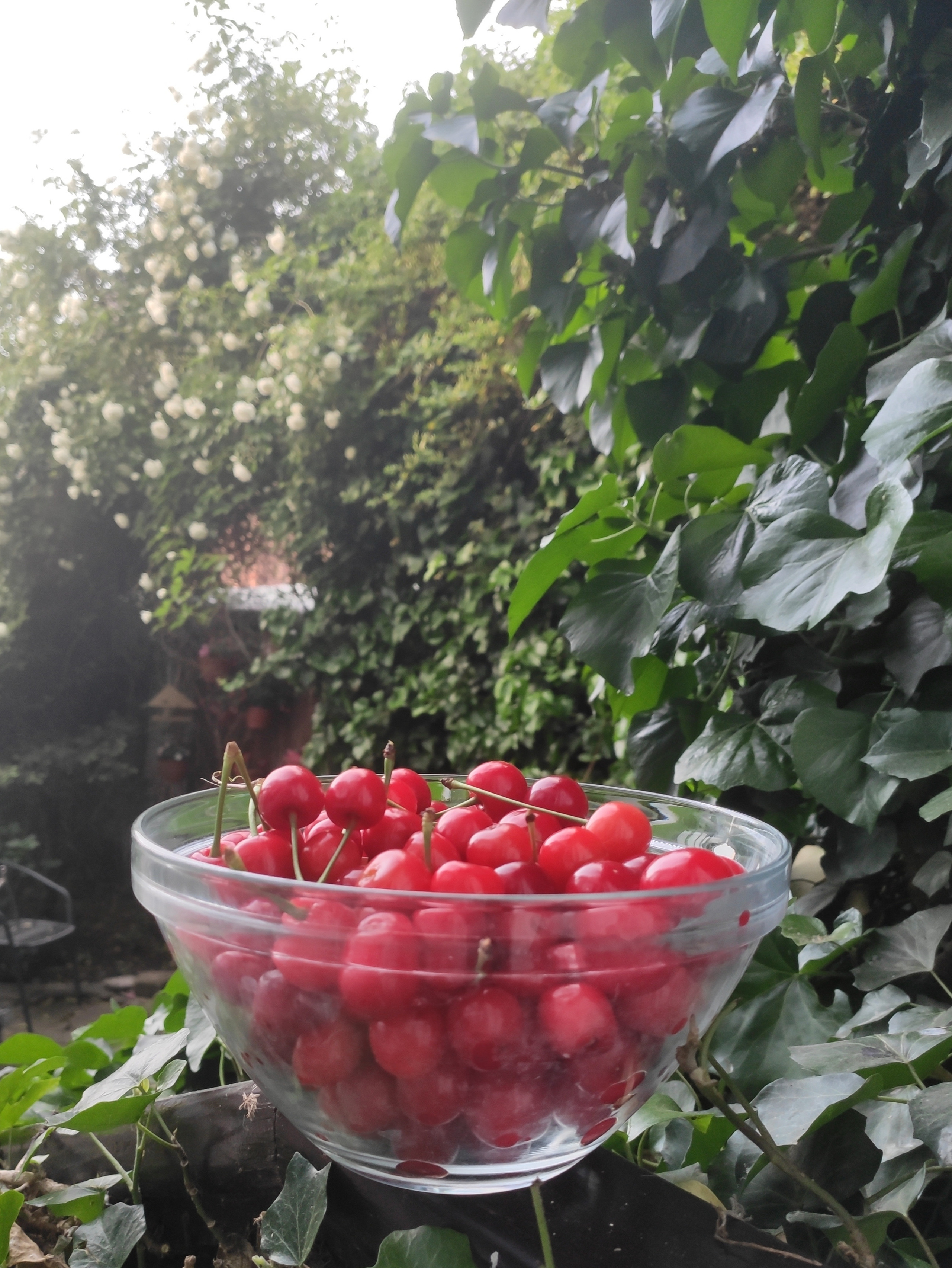 КИПАРИС. Отдых на побережье Чёрного моря