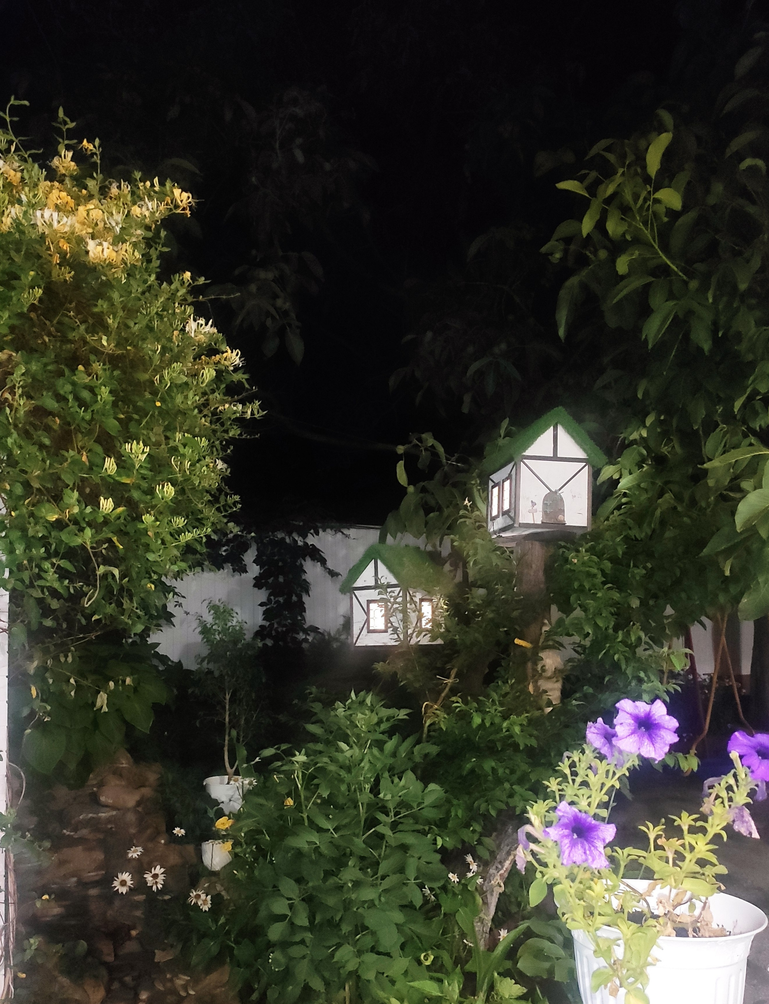 КИПАРИС. Отдых на побережье Чёрного моря