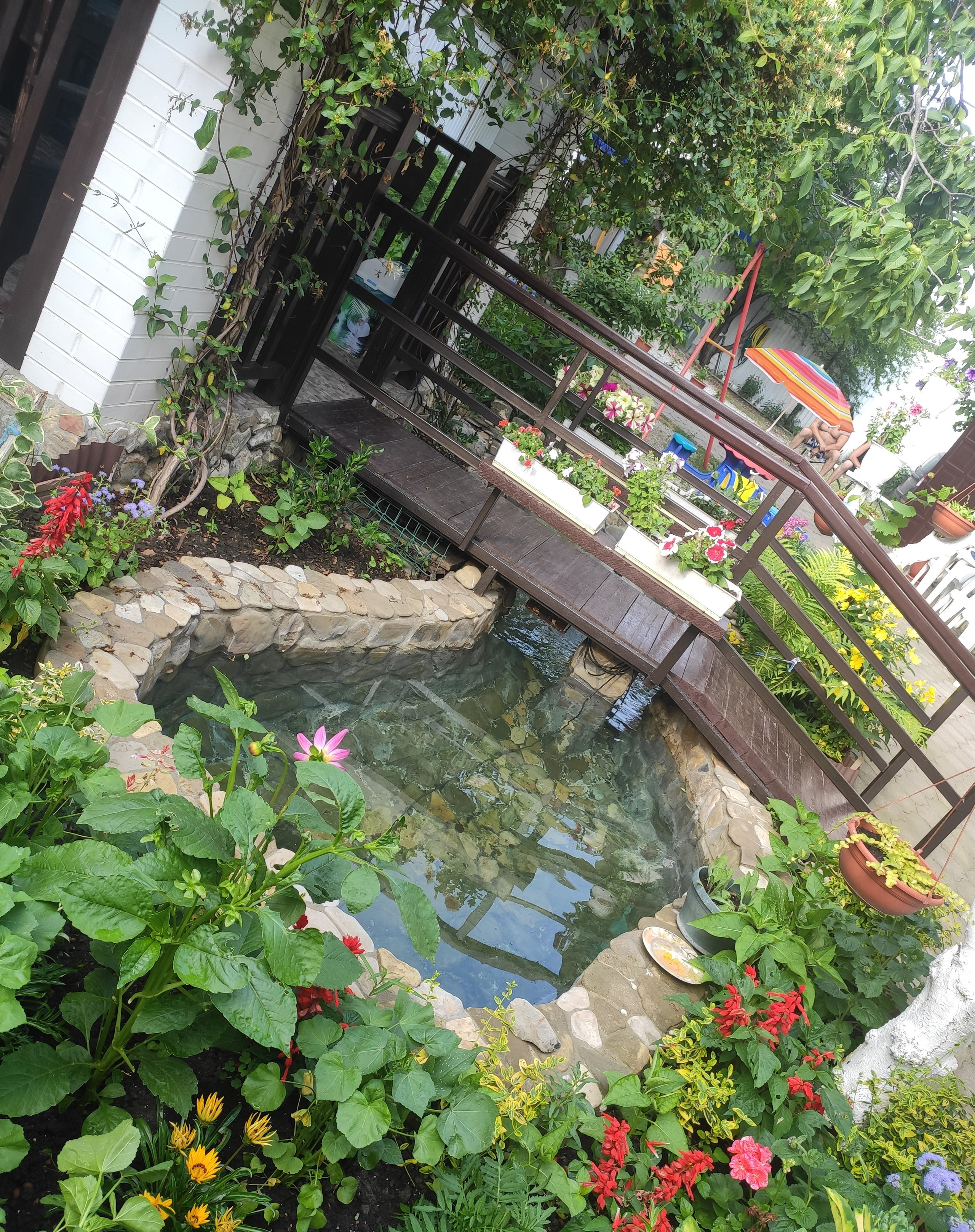 КИПАРИС. Отдых на побережье Чёрного моря