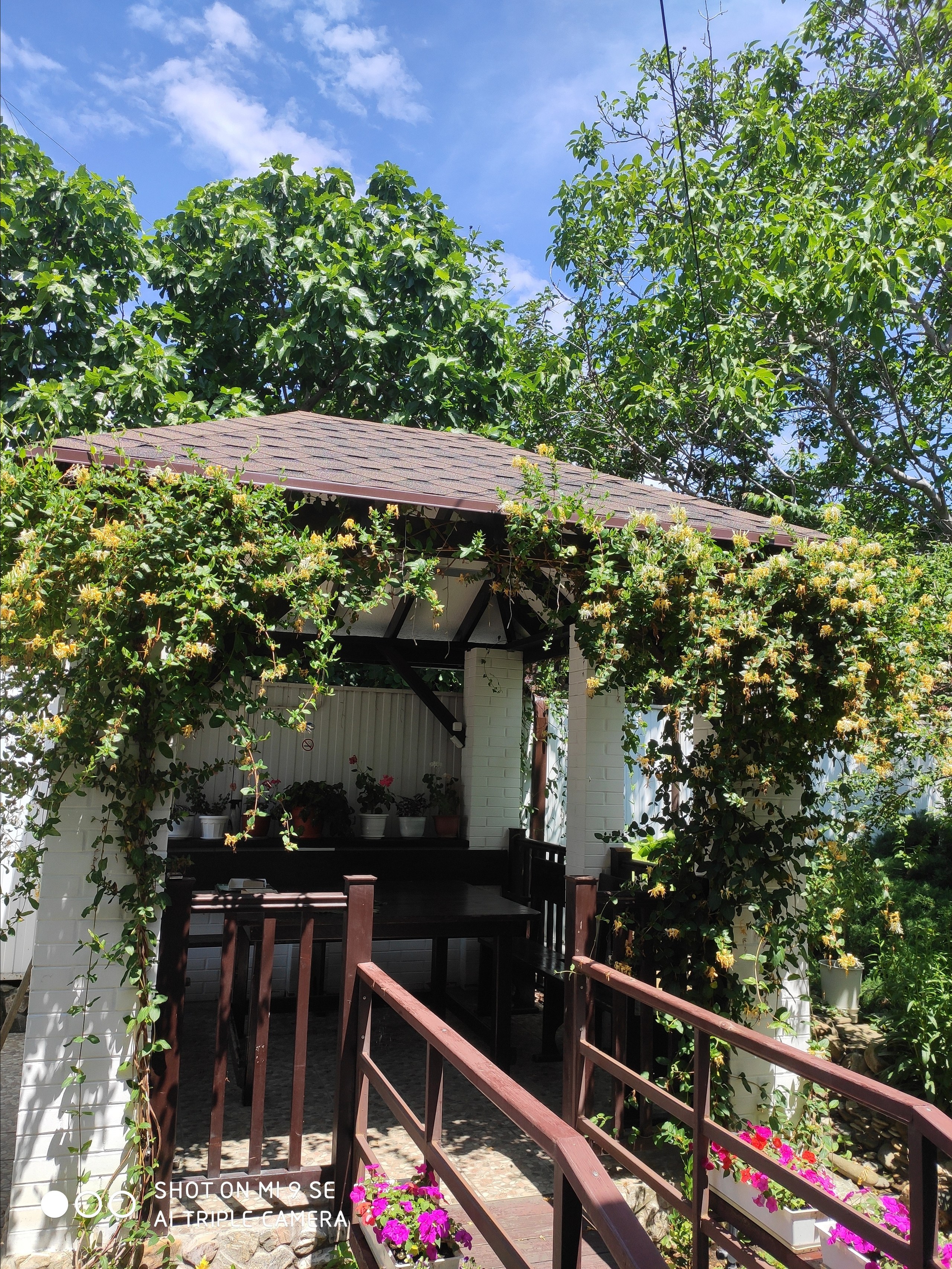 КИПАРИС. Отдых на побережье Чёрного моря