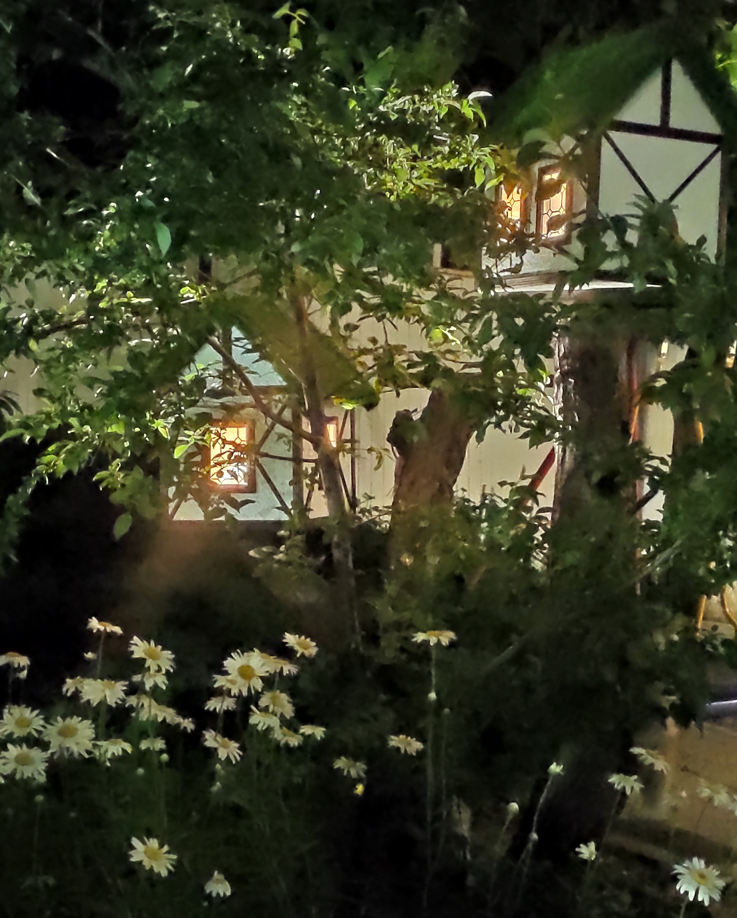 КИПАРИС. Отдых на побережье Чёрного моря