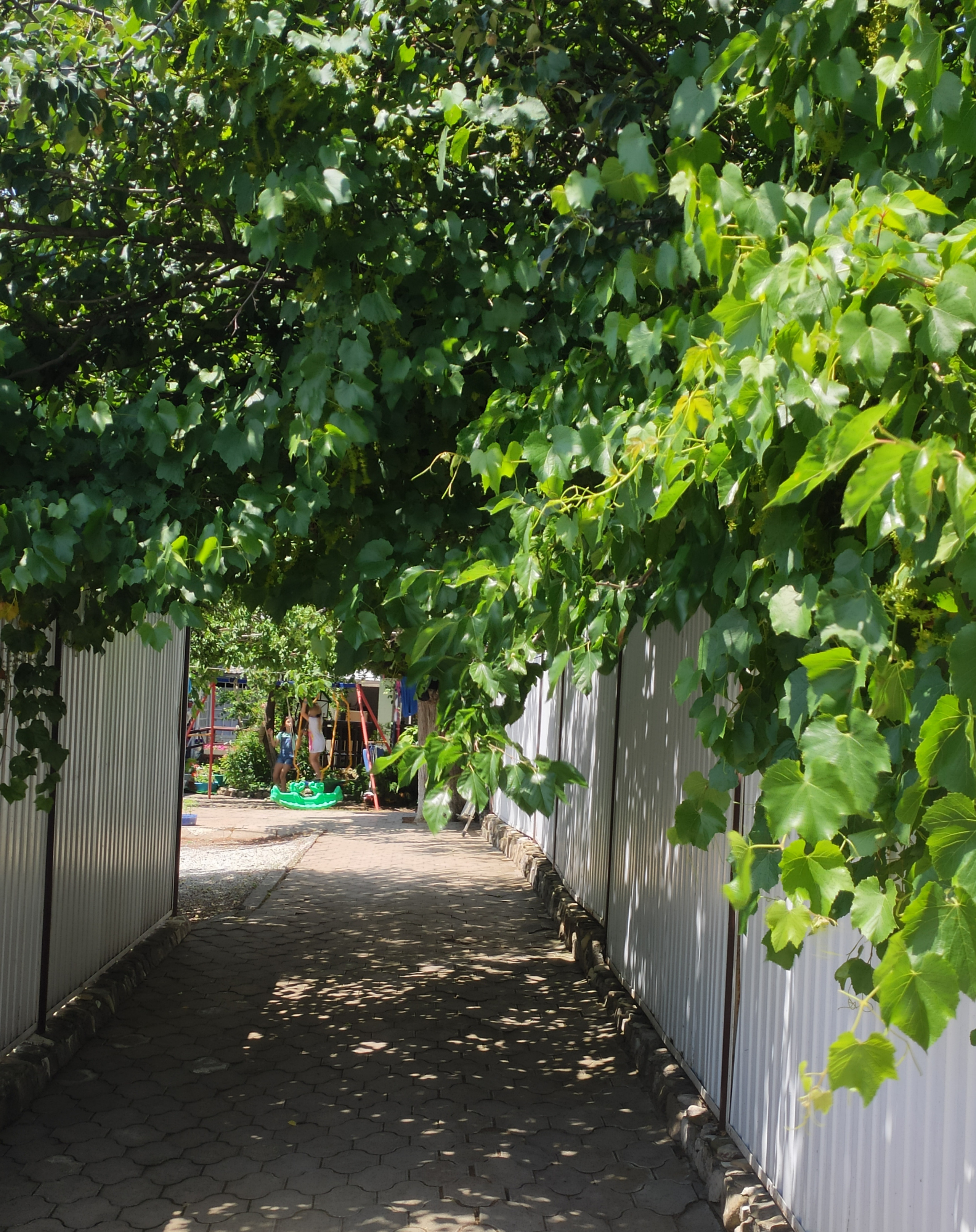 КИПАРИС. Отдых на побережье Чёрного моря