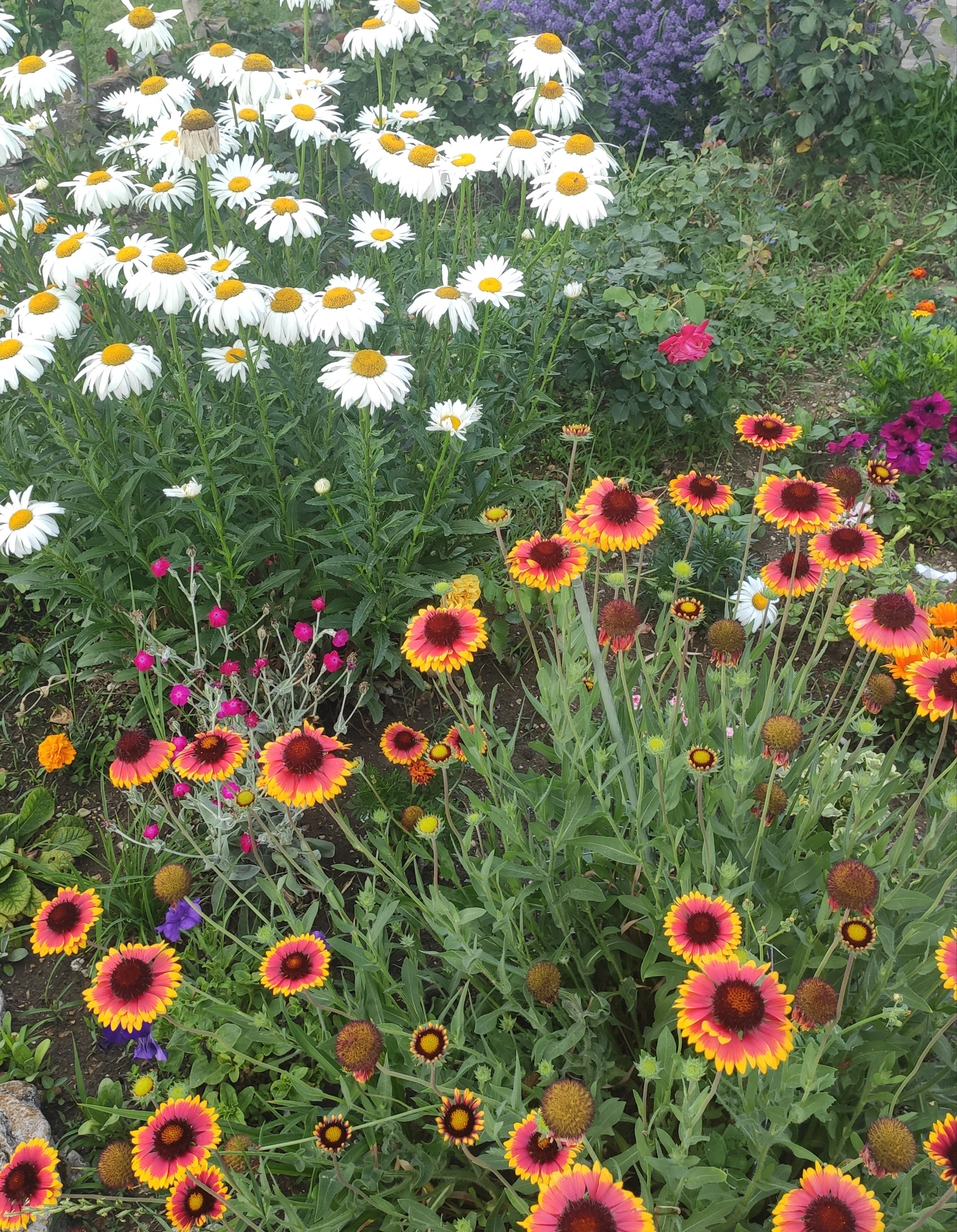 КИПАРИС. Отдых на побережье Чёрного моря