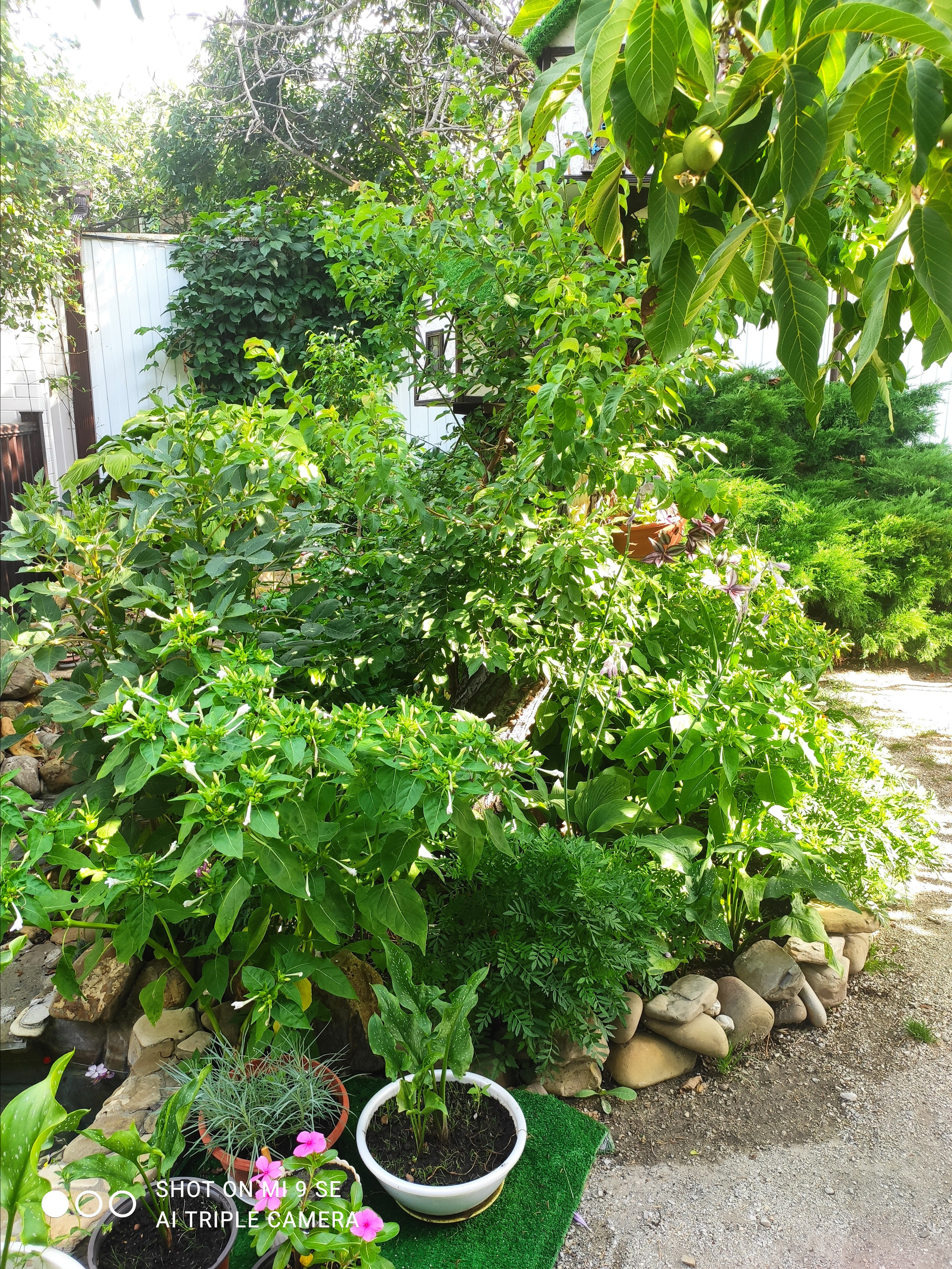 КИПАРИС. Отдых на побережье Чёрного моря