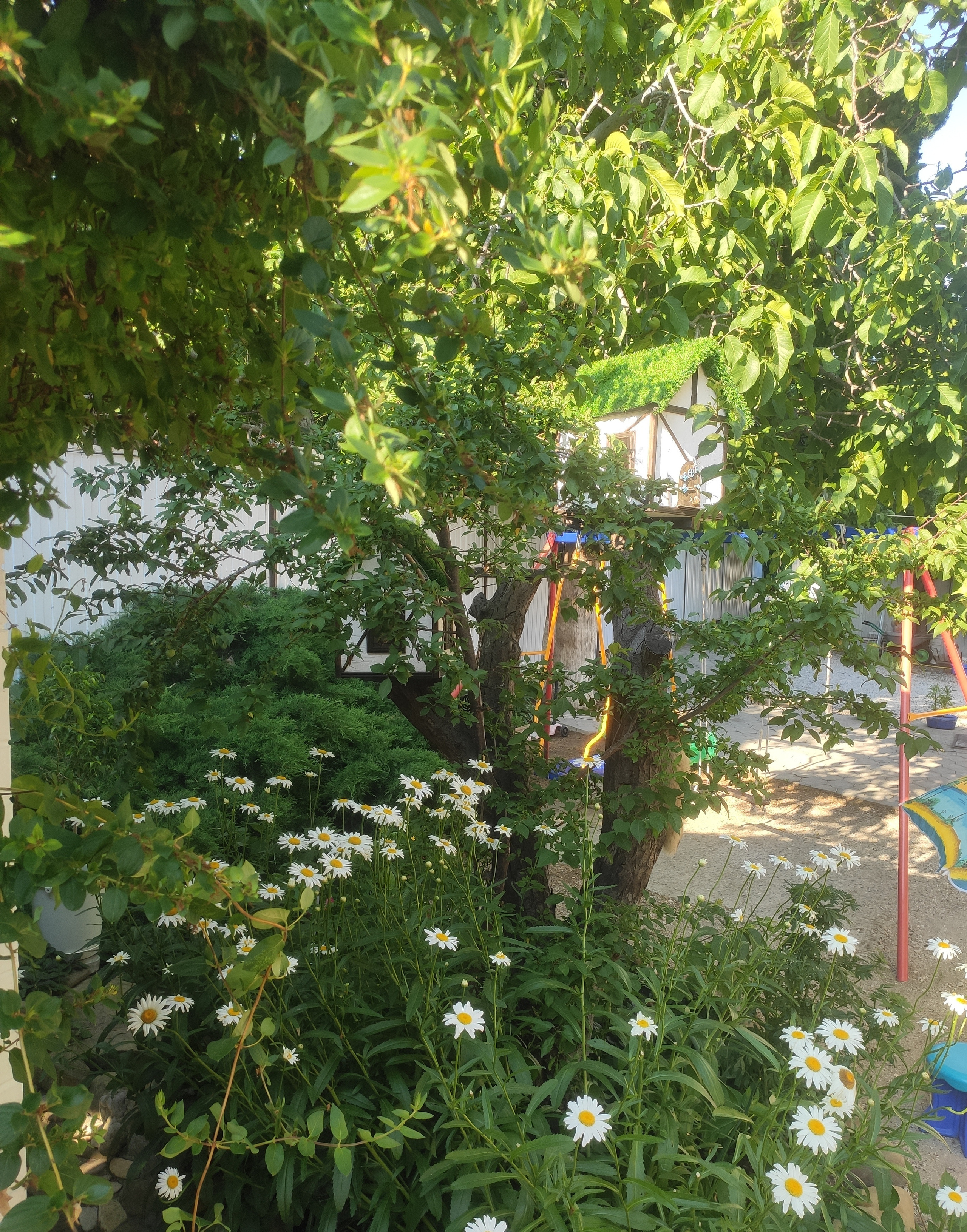 КИПАРИС. Отдых на побережье Чёрного моря