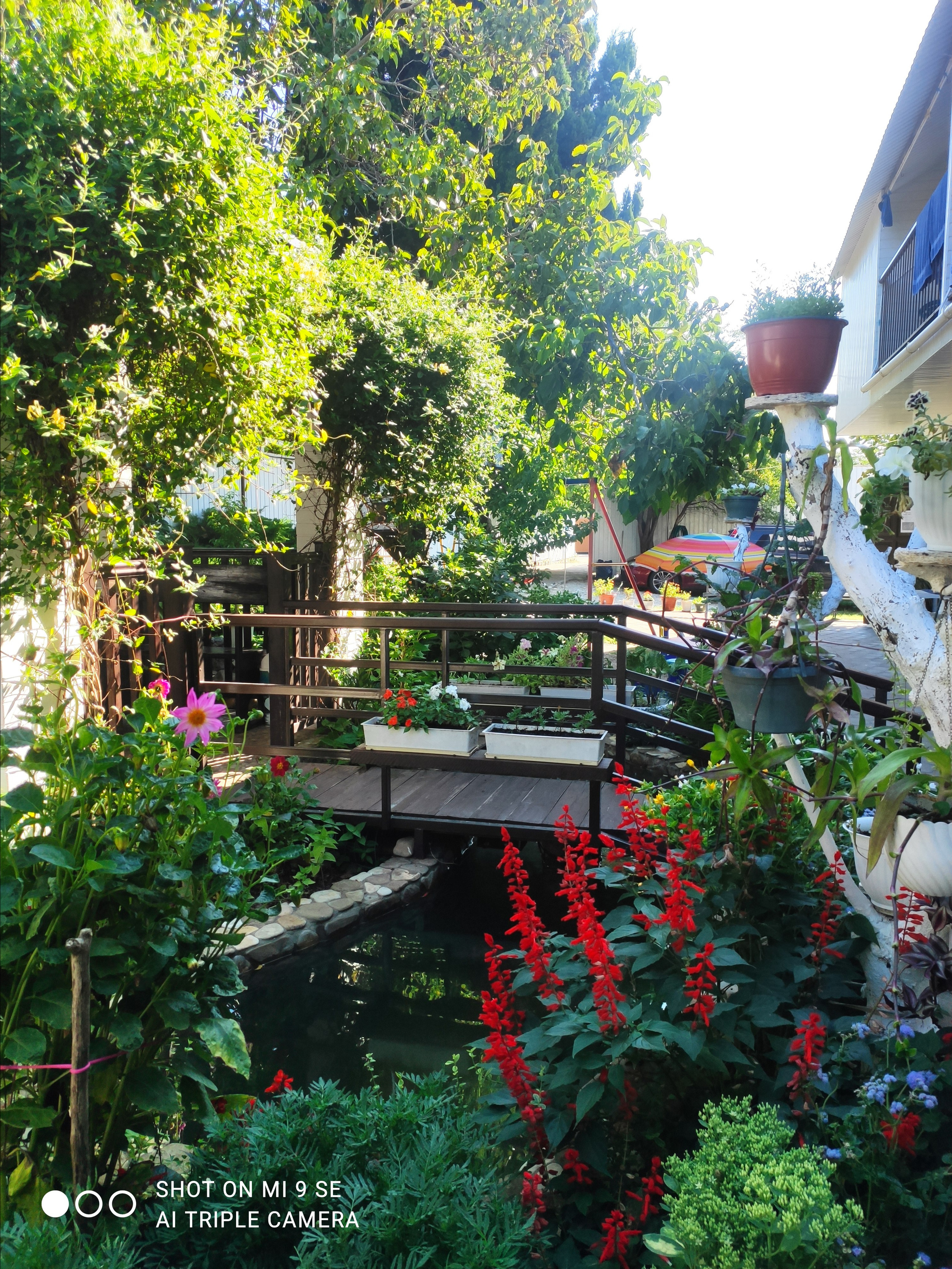 КИПАРИС. Отдых на побережье Чёрного моря