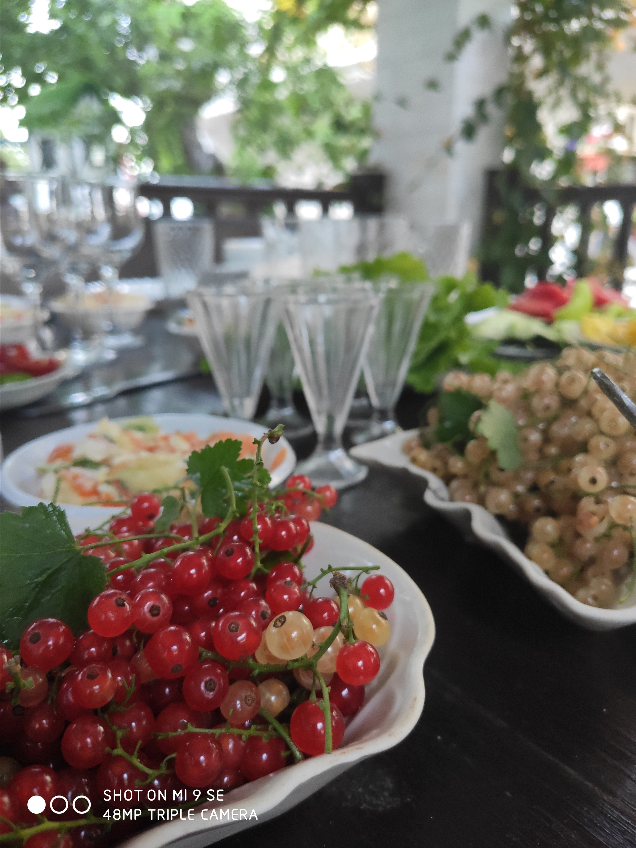 КИПАРИС. Отдых на побережье Чёрного моря