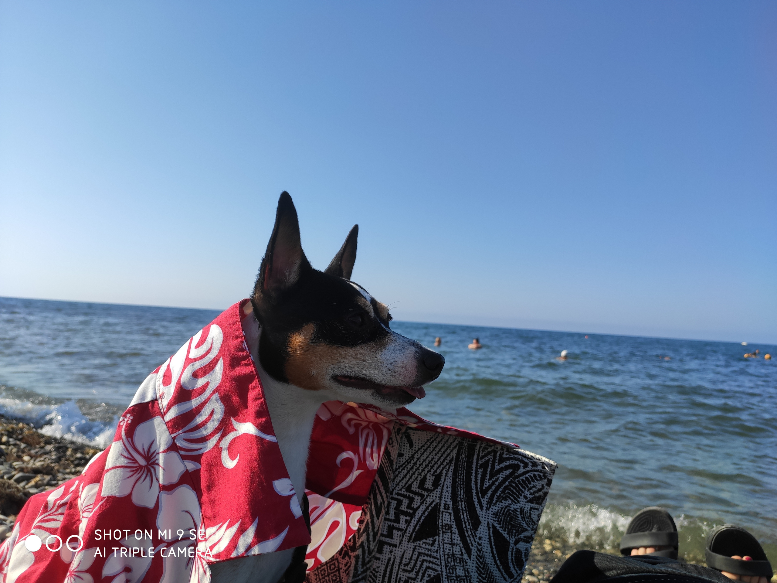 отдых на пляже