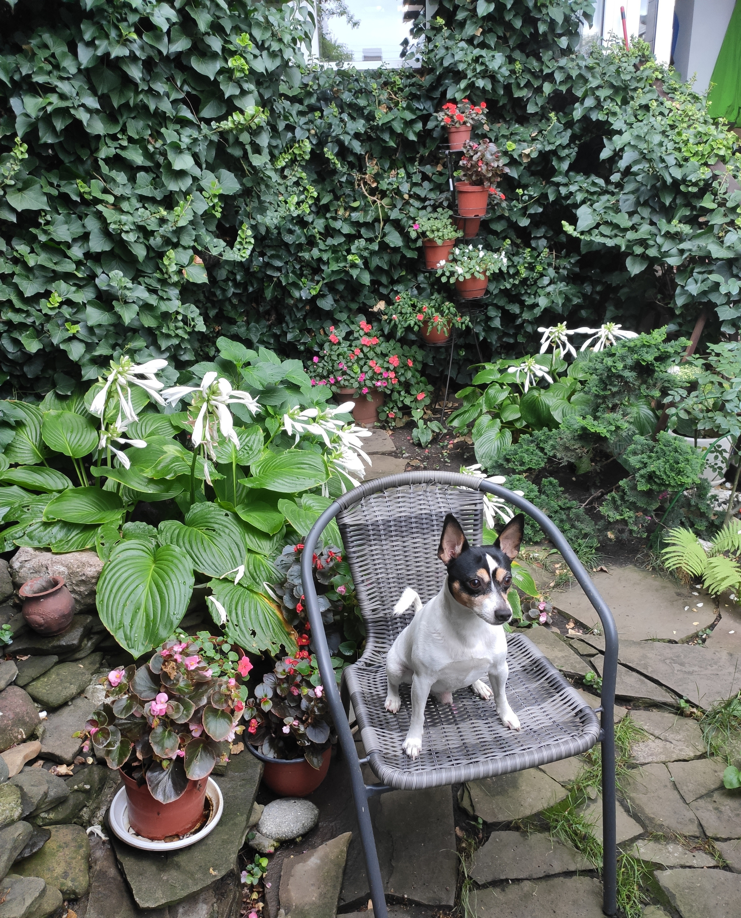 КИПАРИС. Отдых на побережье Чёрного моря