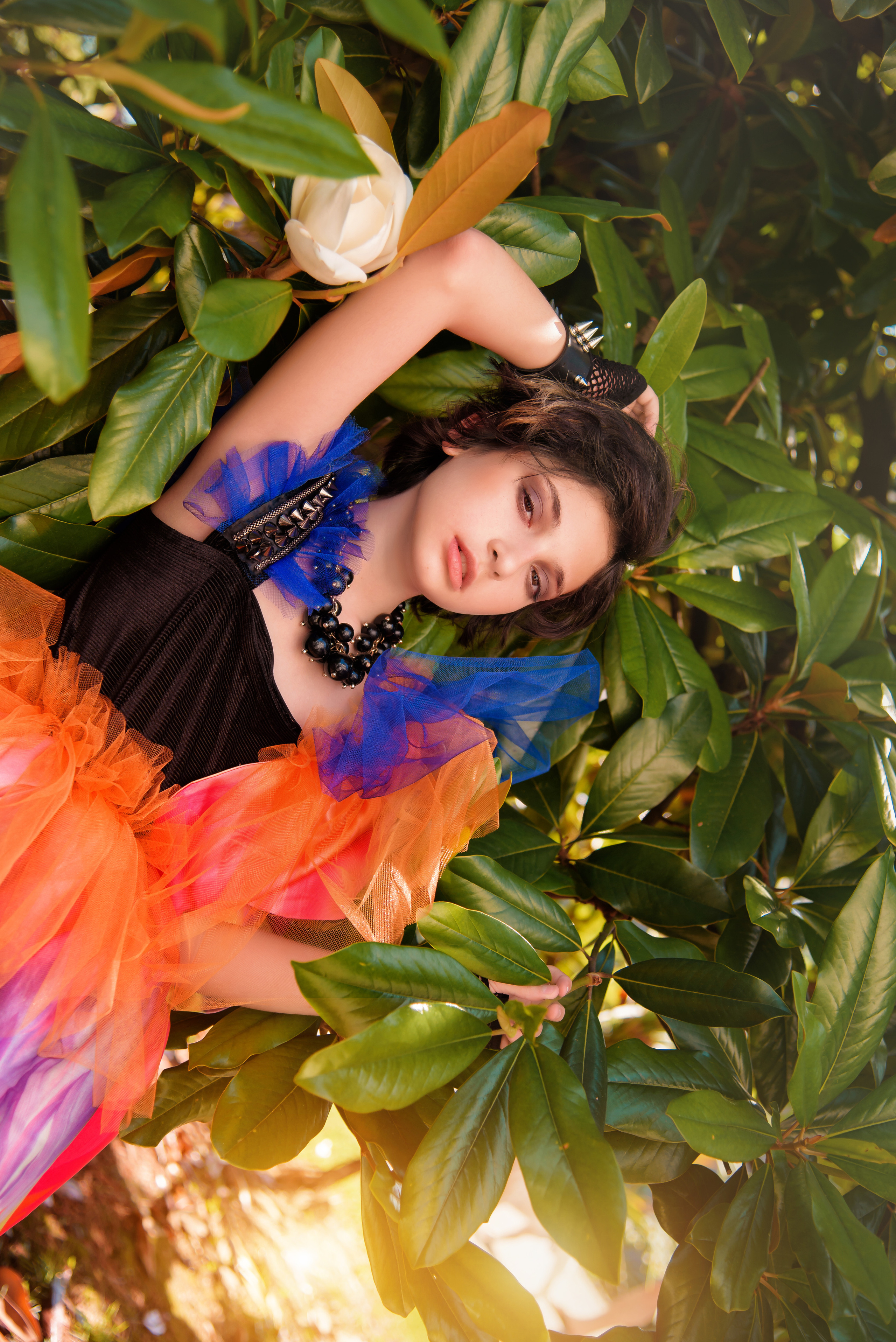 Пашян Ия Суреновна