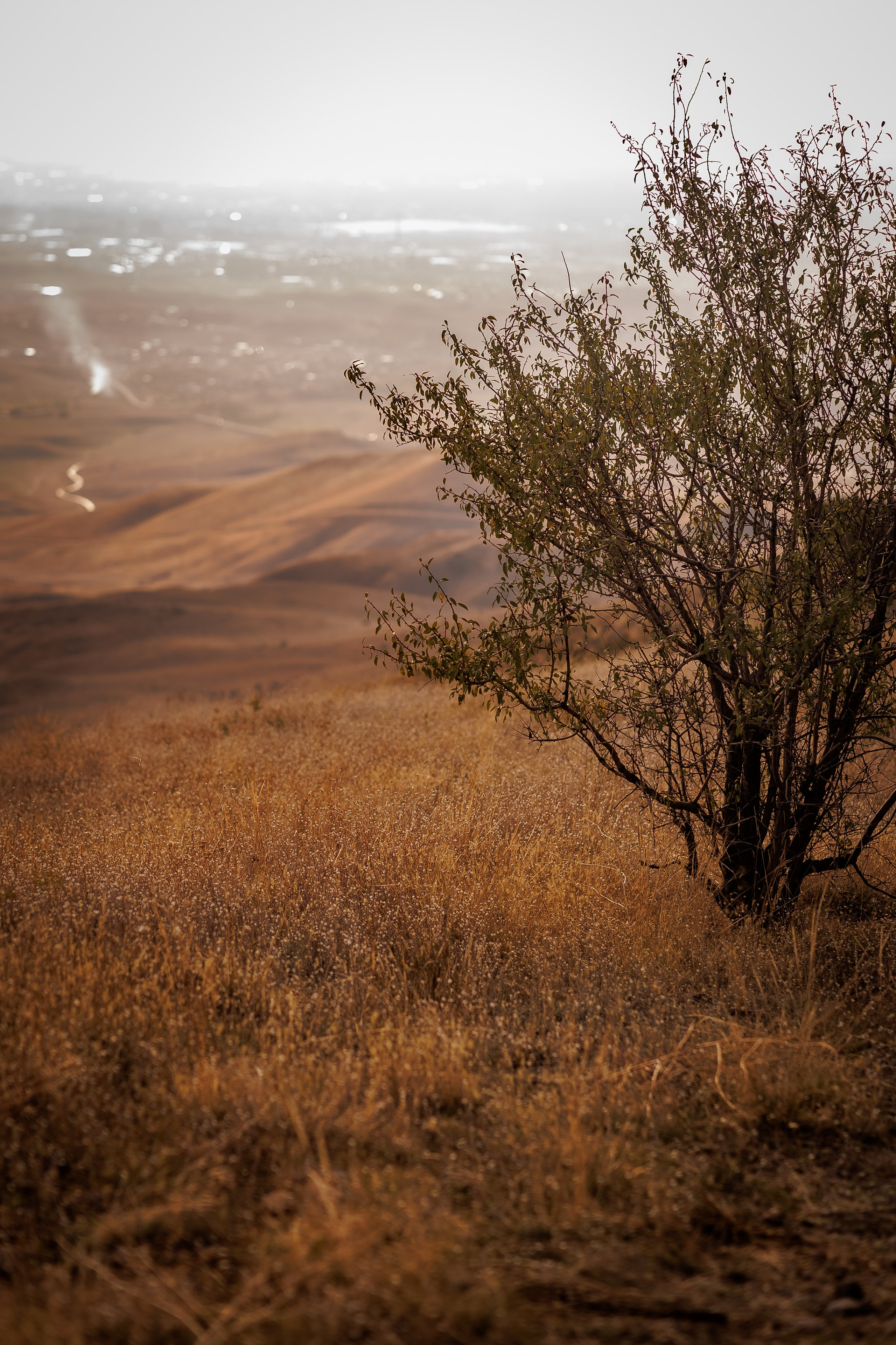 Семейные. Фотограф Катерина Захарова