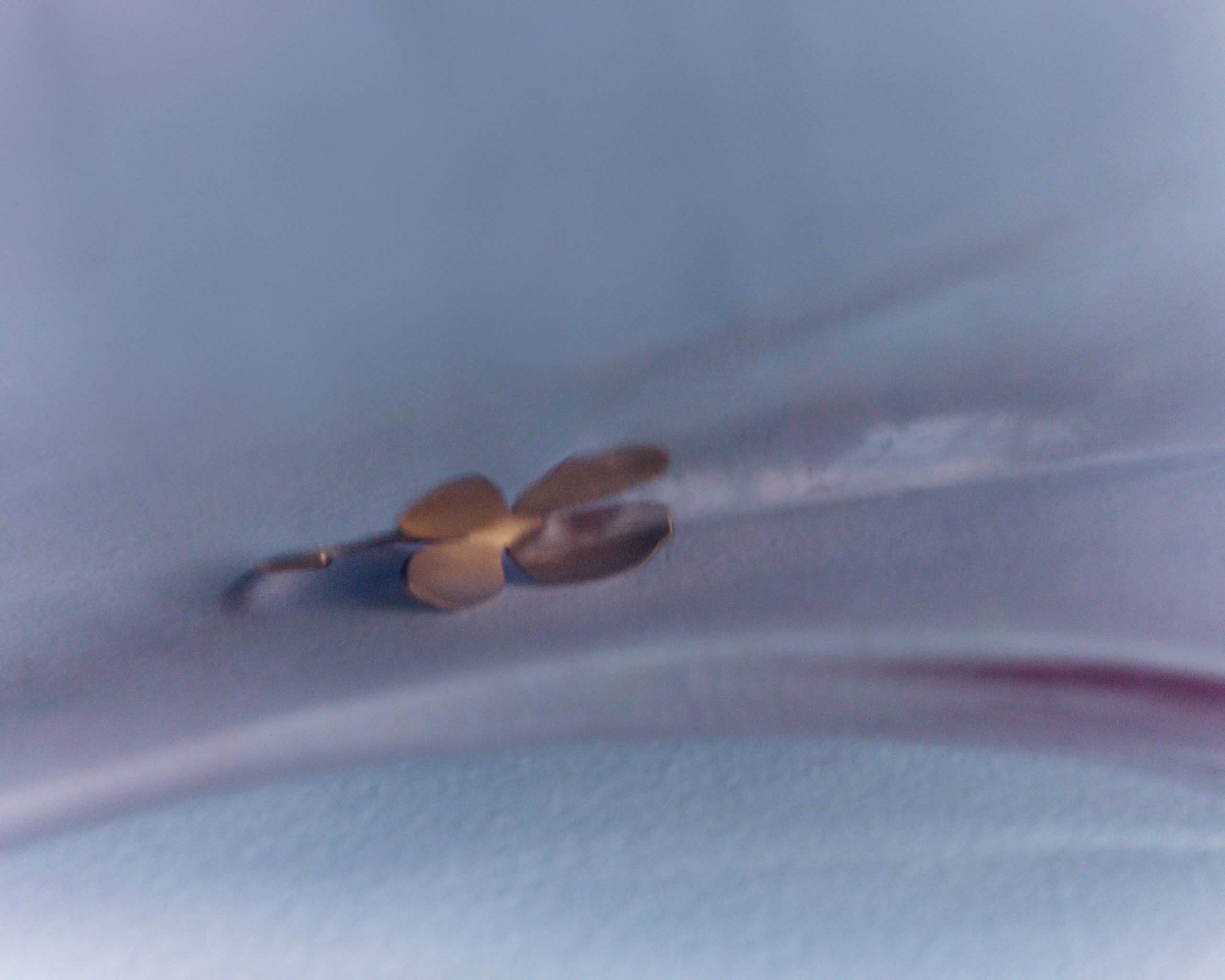 FOR ALVAAR JEWELRY. Alinsmv