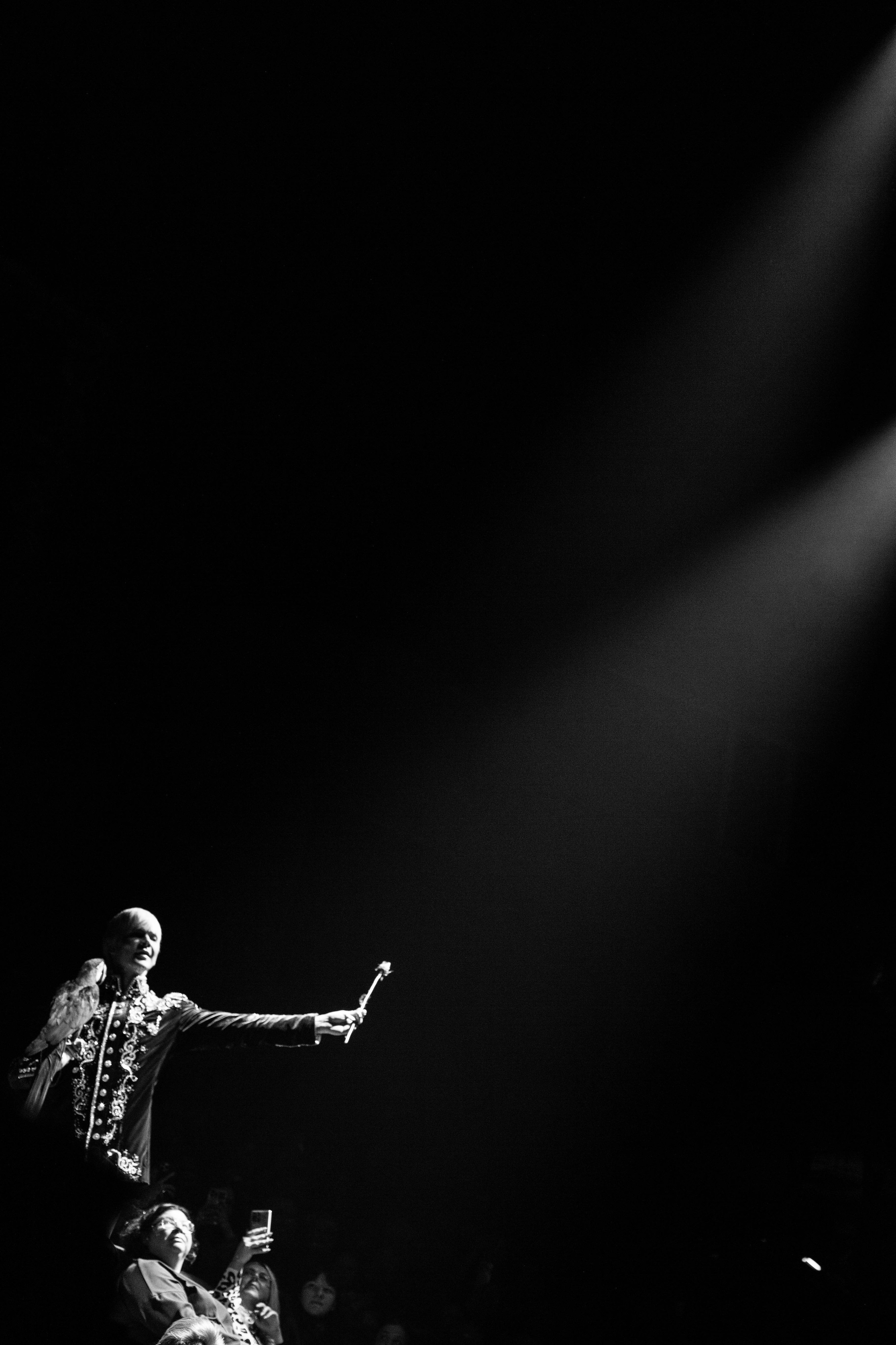 Нижегородский цирк. Шоу фонтанов. Фотограф в Нижнем Новгороде