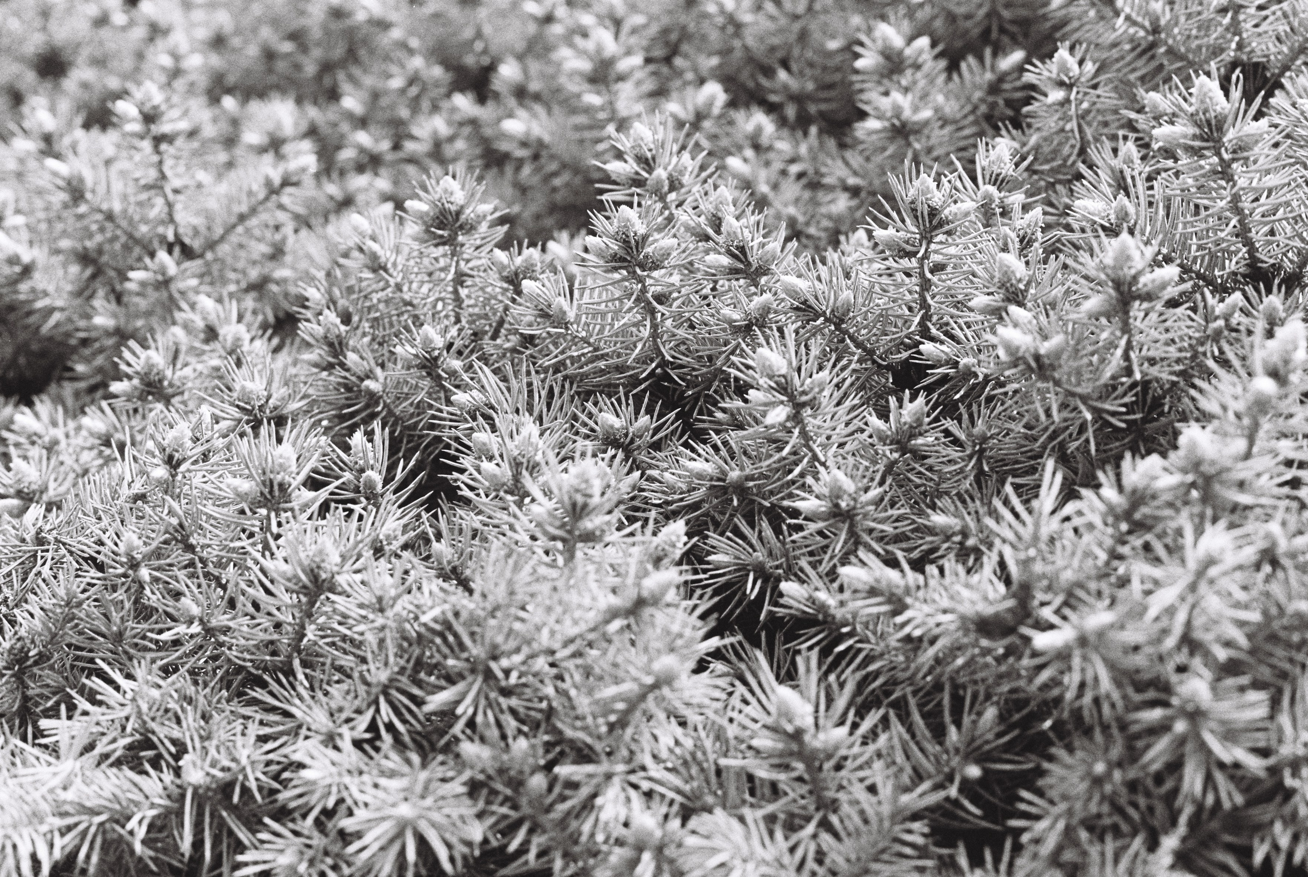 Almaty. Philipp Yelistratov