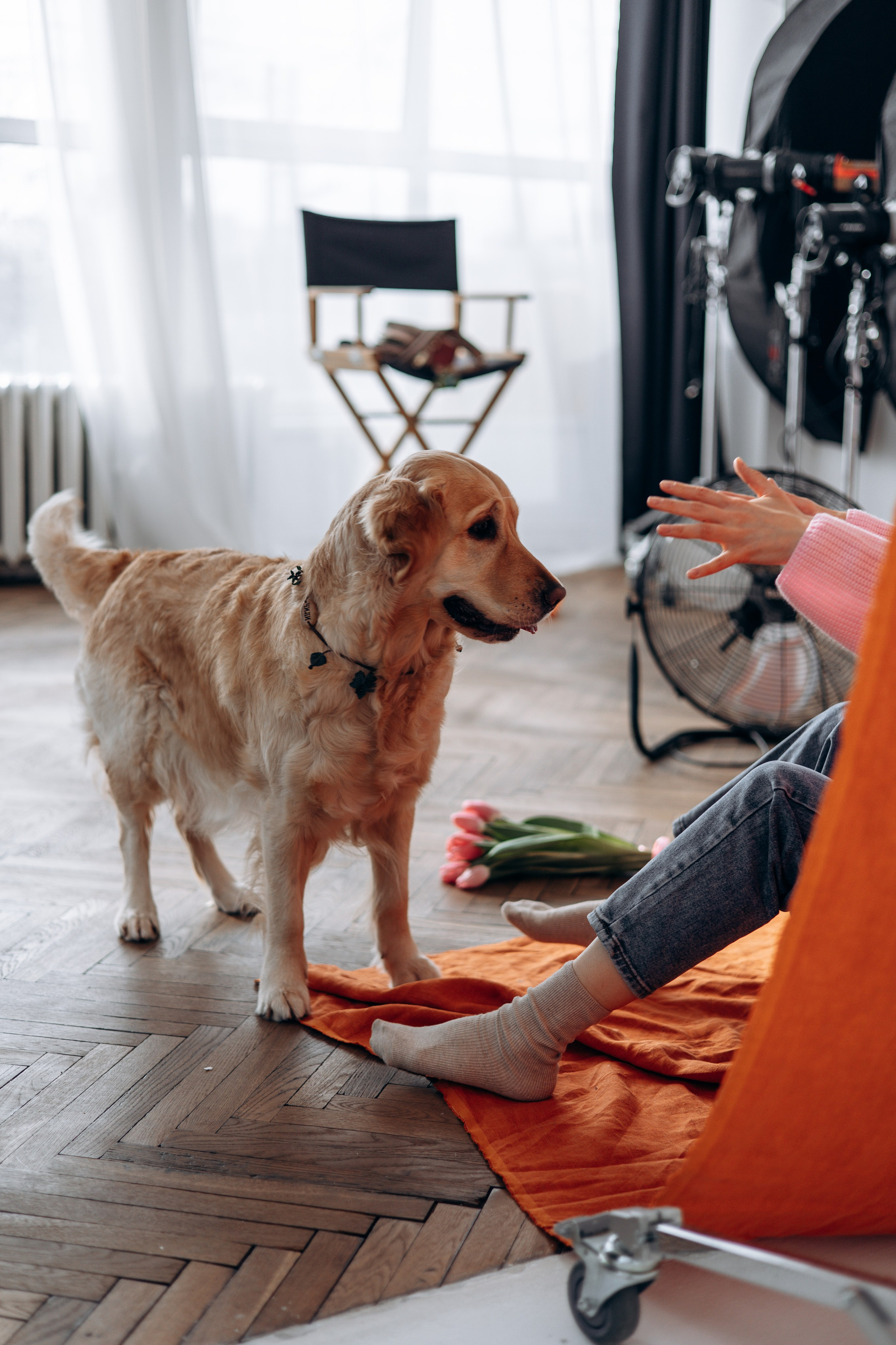 Марина и Чили. Фотограф — Анималист | Санкт-Петербург