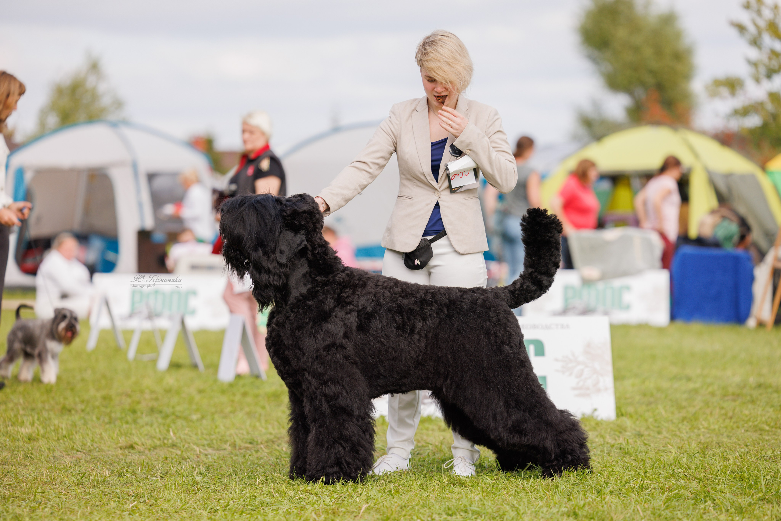Переславль 5-7.08.2025. Фотограф-анималист Юлия Германика