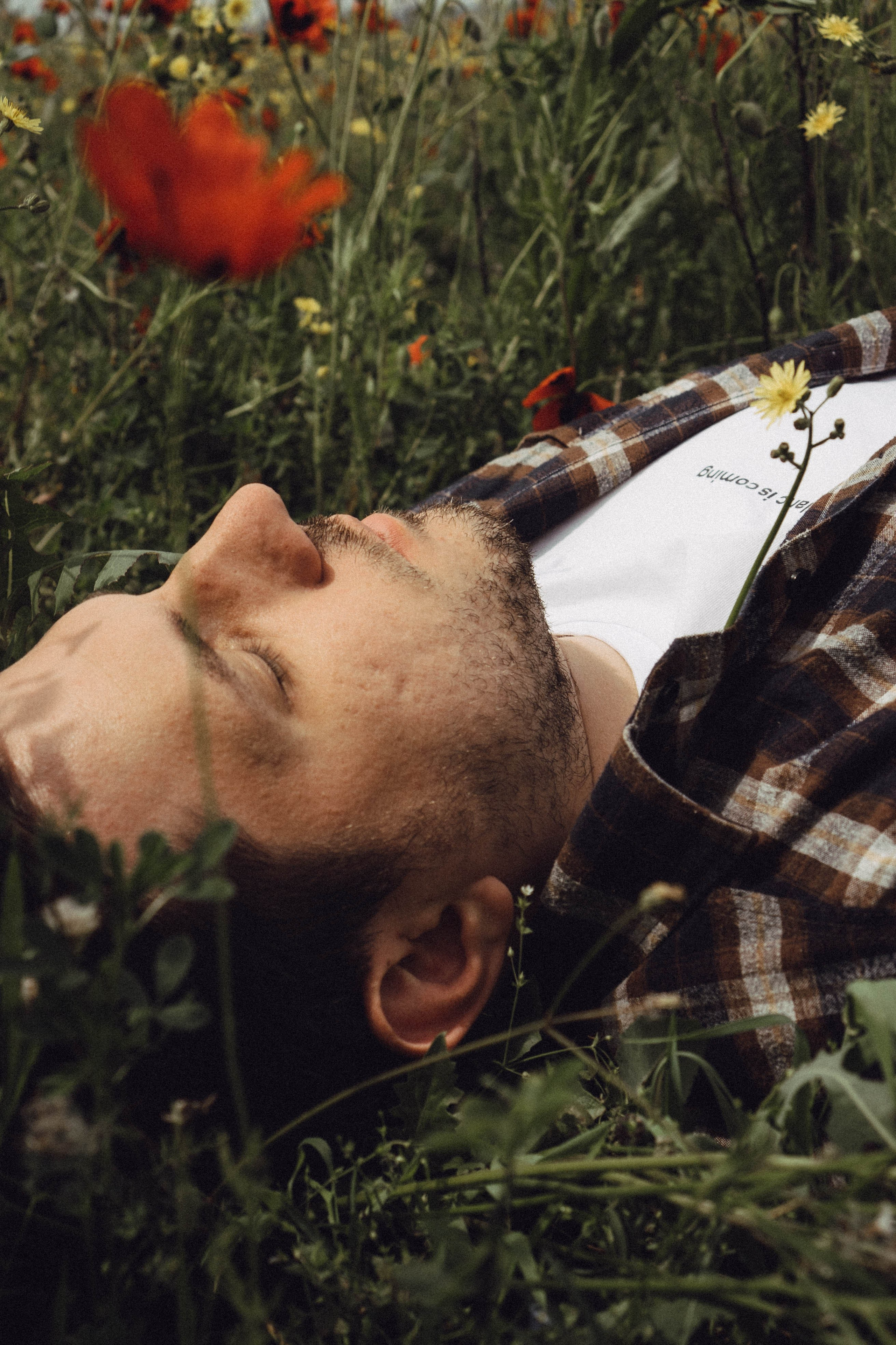 Маки. Профессиональный фотограф, Санкт-Петербург — Виктория Богомолова