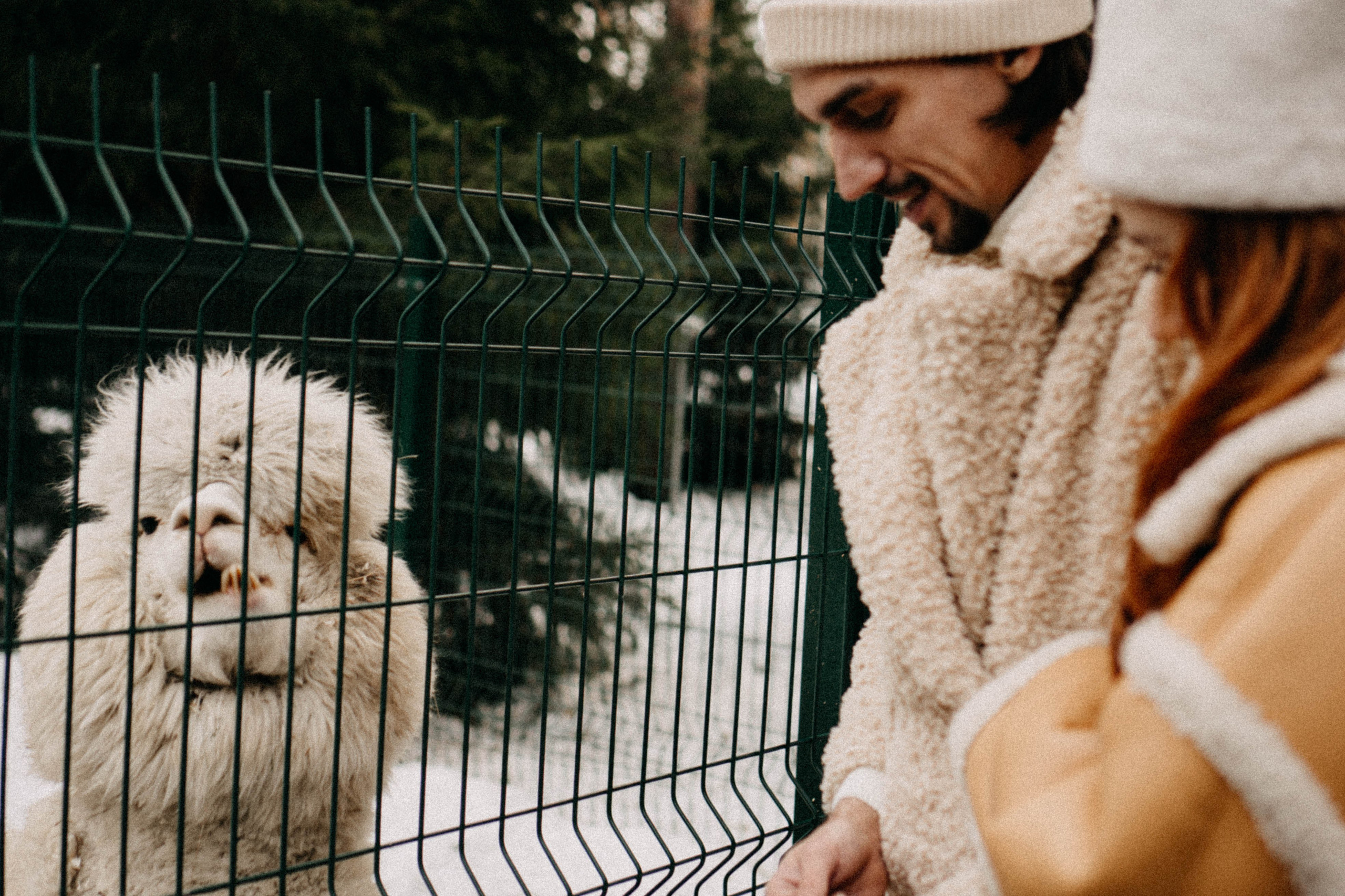 Каток. Профессиональный фотограф, Санкт-Петербург — Виктория Богомолова