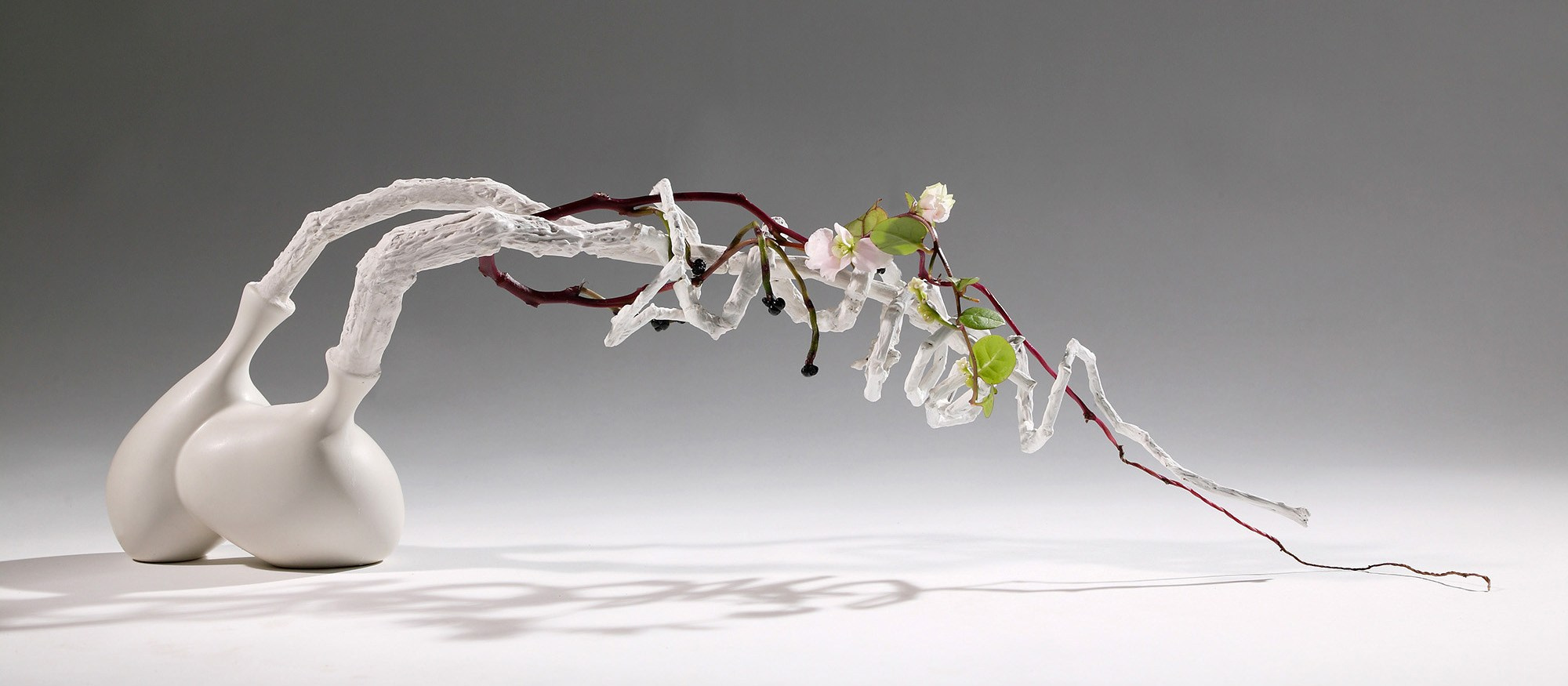 Попов.фото — Предметная фотостудия в Новой Москве