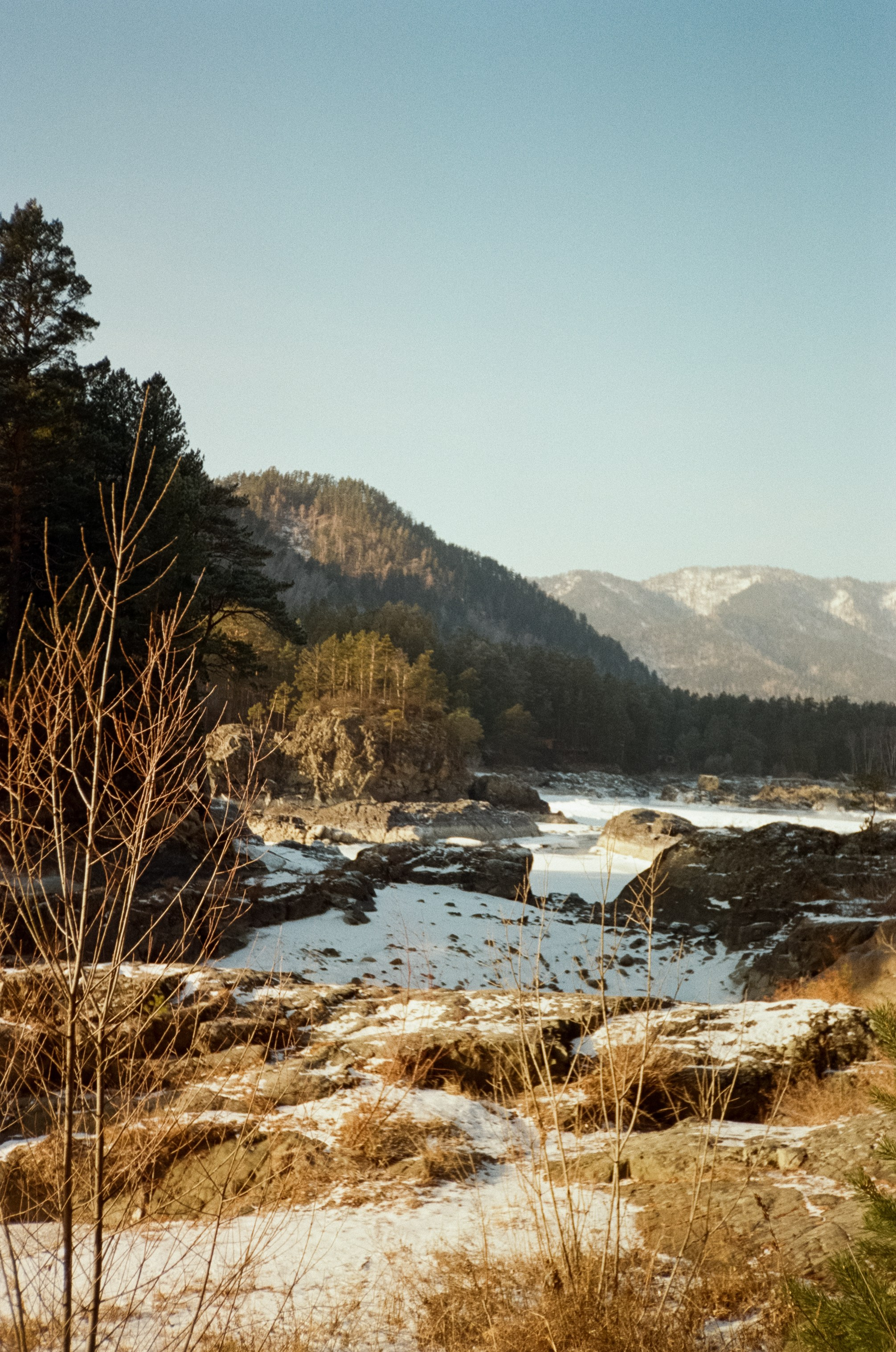 Дорога до Coffee Bus по Чемальскому тракту и Кедровый остров. Фотограф-документалист Мария Осокина
