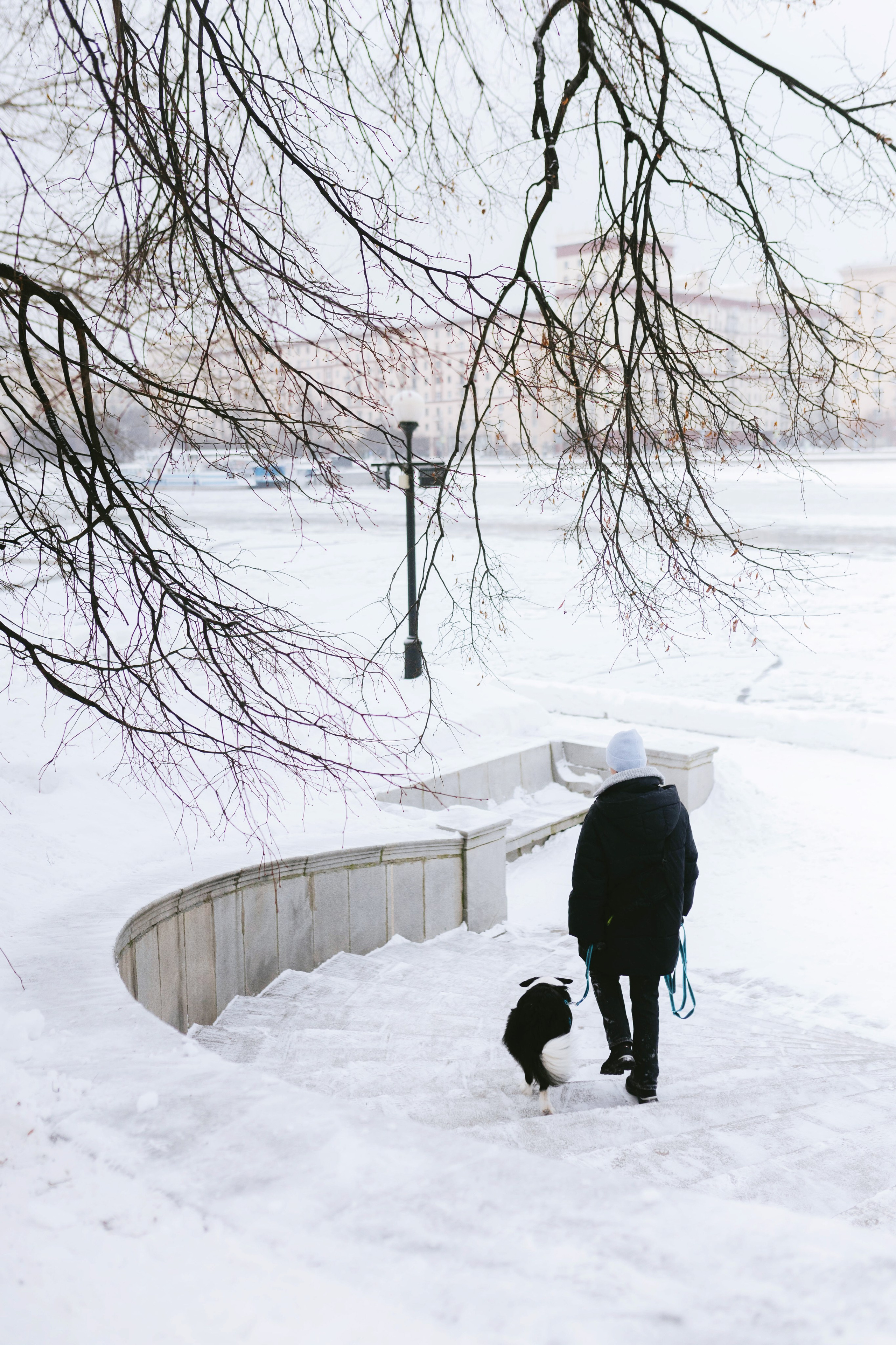 Москва / Лера и Саймон. Фотограф Кузина Вера