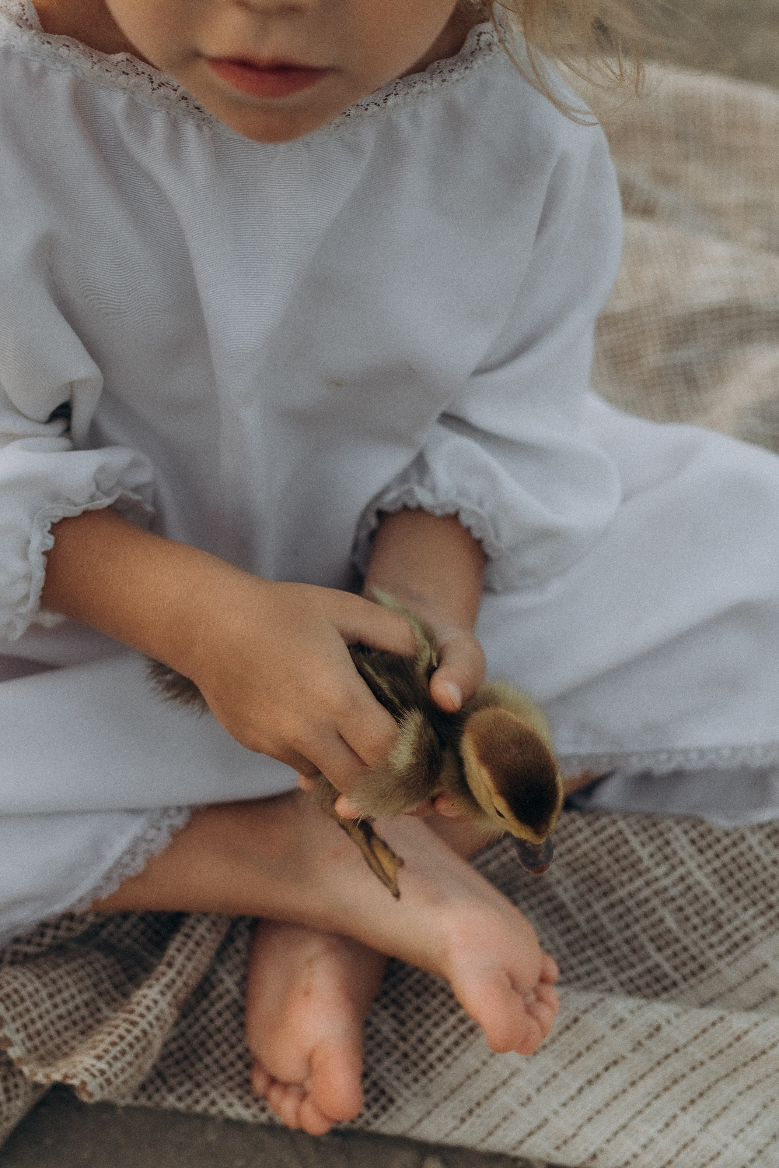 Ферма. Детский фотограф в Новороссийске Ксюша Маслова