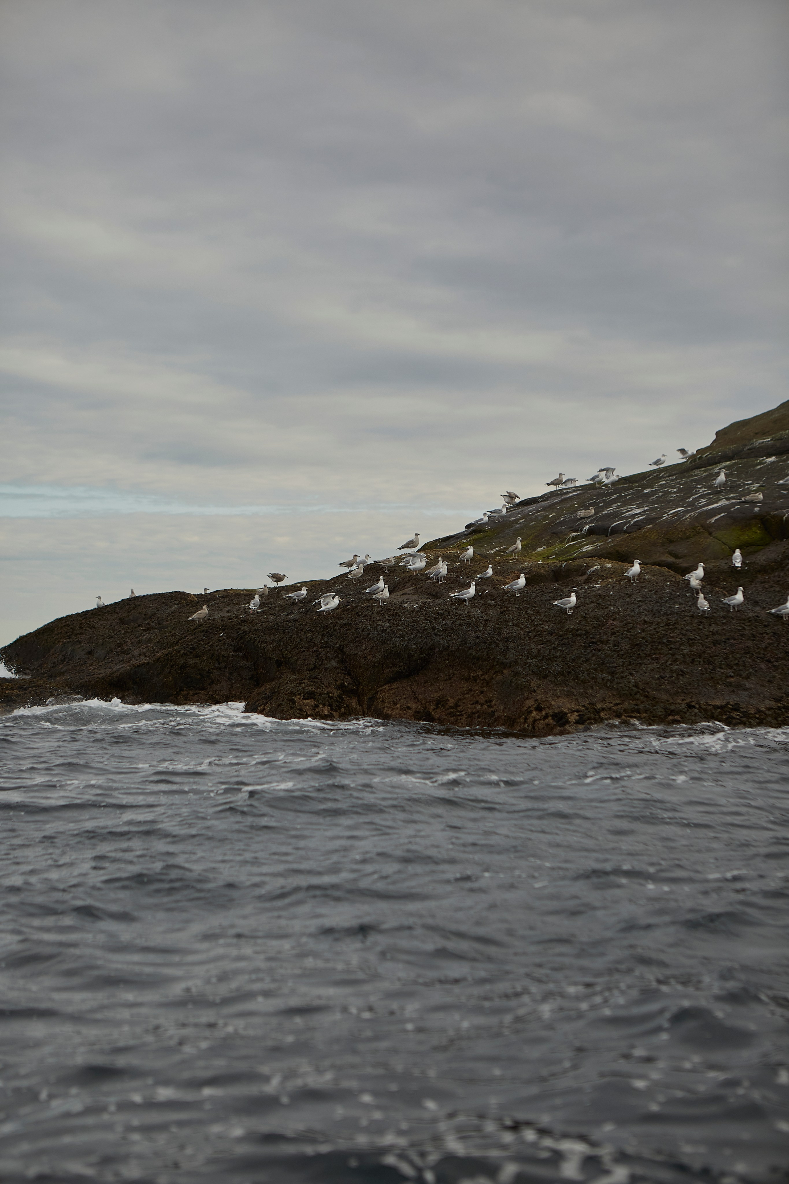 Ульяна. Анастасия Зобнинá — фотограф в Санкт-Петербурге/СПб