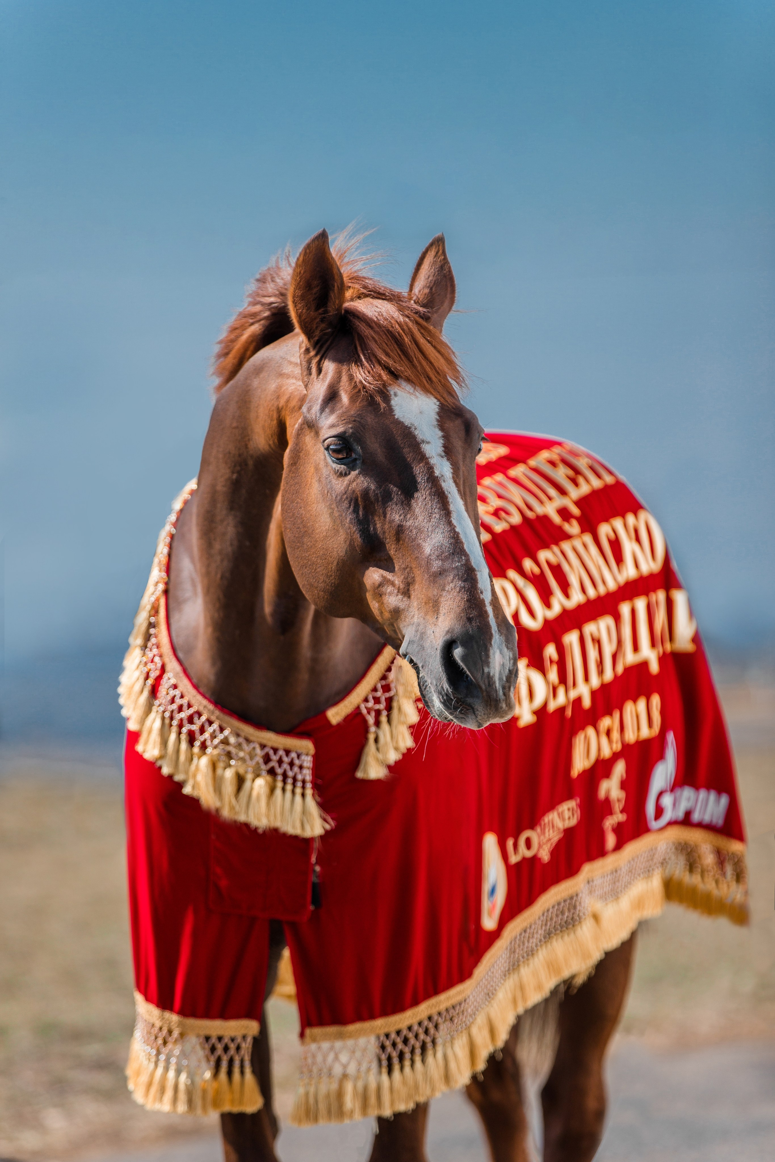 На природе. Фотограф-анималист Ксендзова Кристина