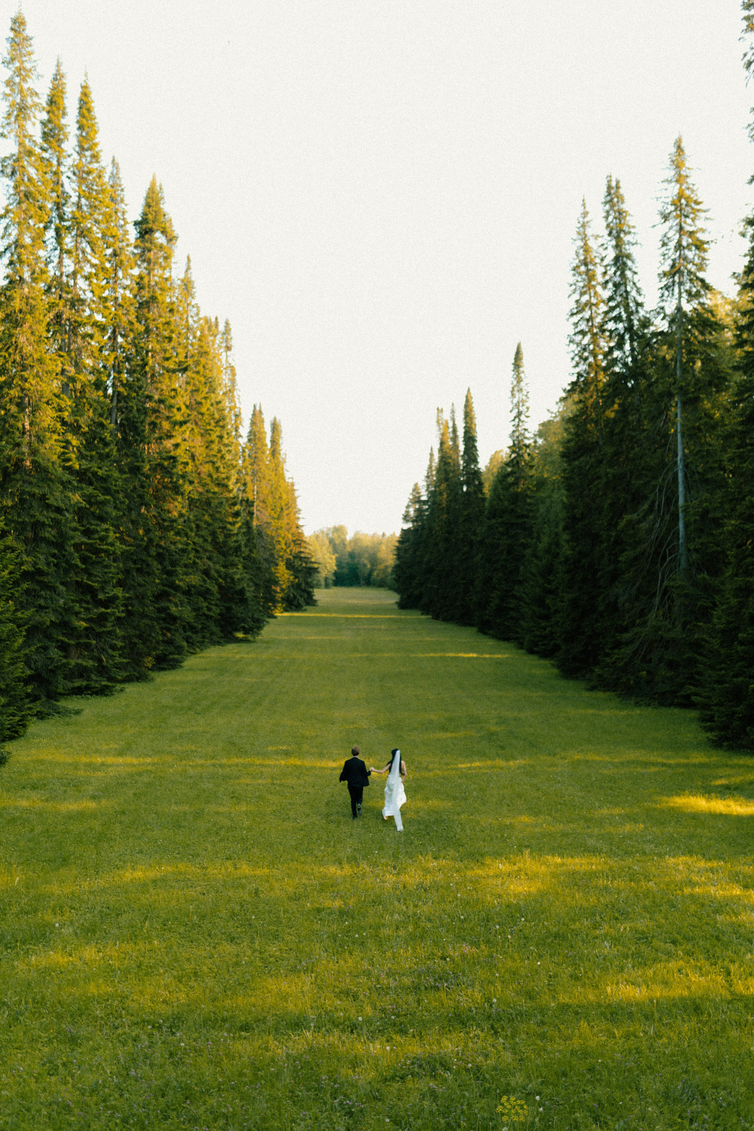 Анастасия & Александр. Фотограф Винокурова Кристина в Санкт-Петербурге