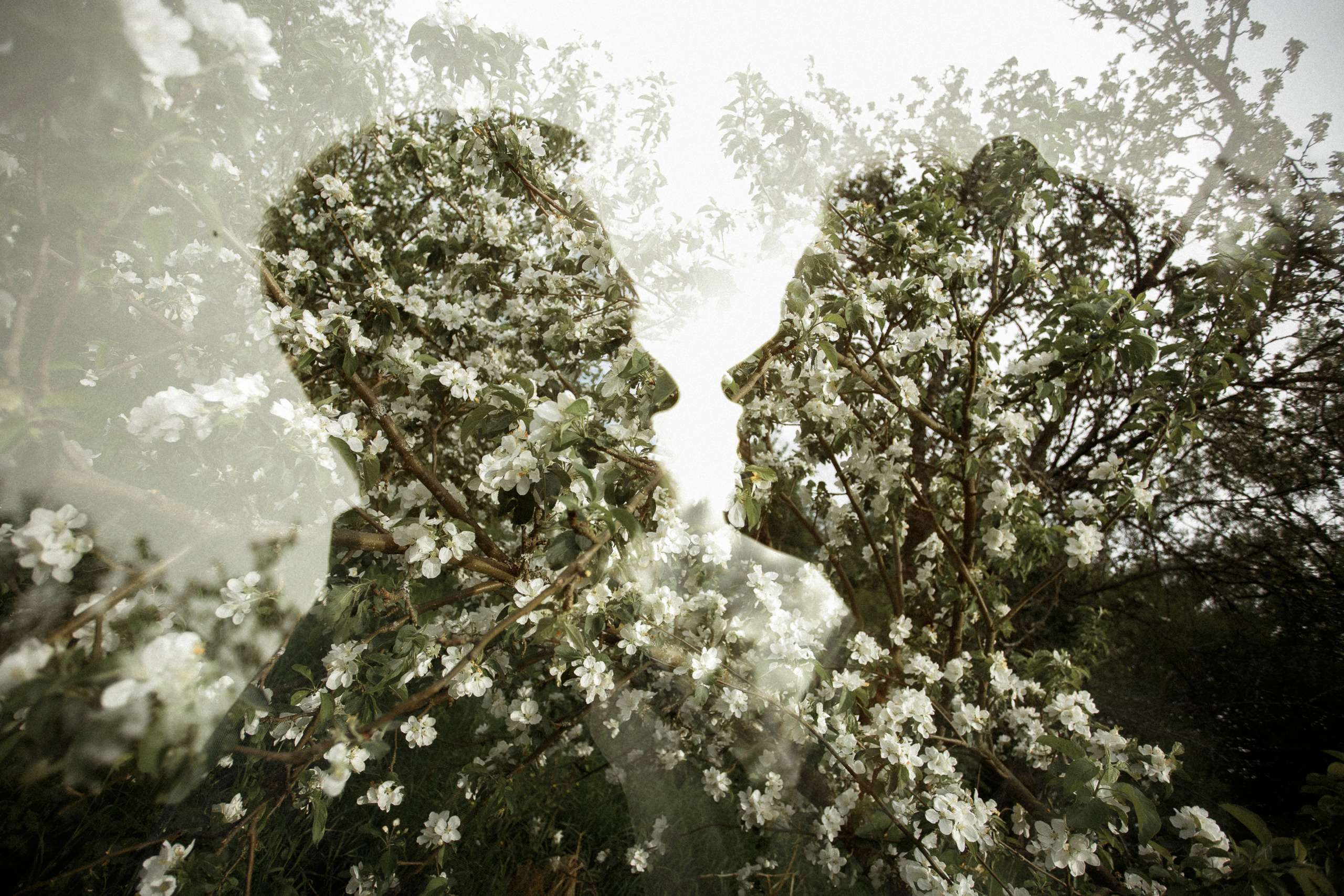 Love story | Egor & SASHA. Свадебный фотограф Дмитрий Воробьев Ярославль