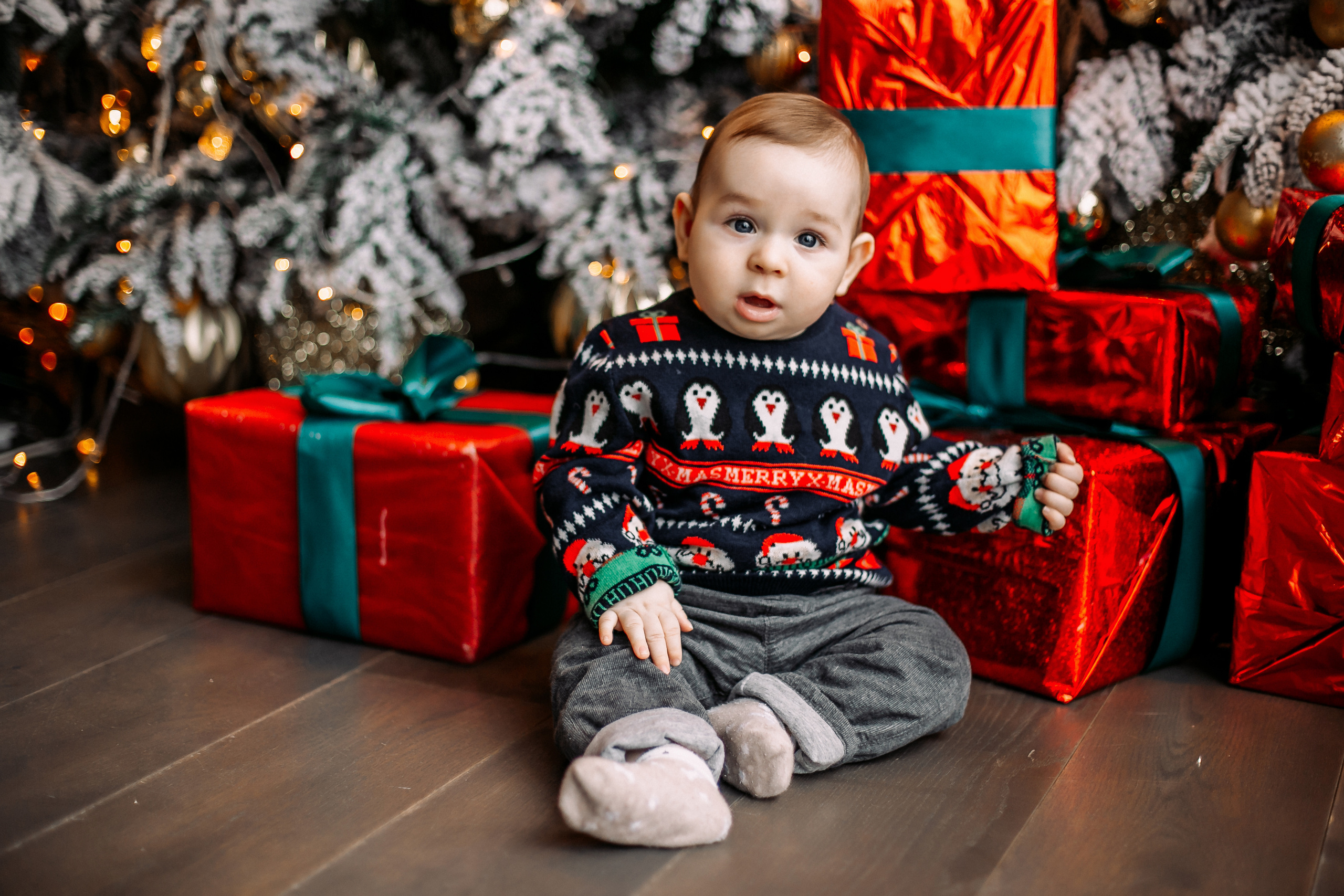 Новогодние Федяевы. Свадебный фотограф Дмитрий Воробьев Ярославль