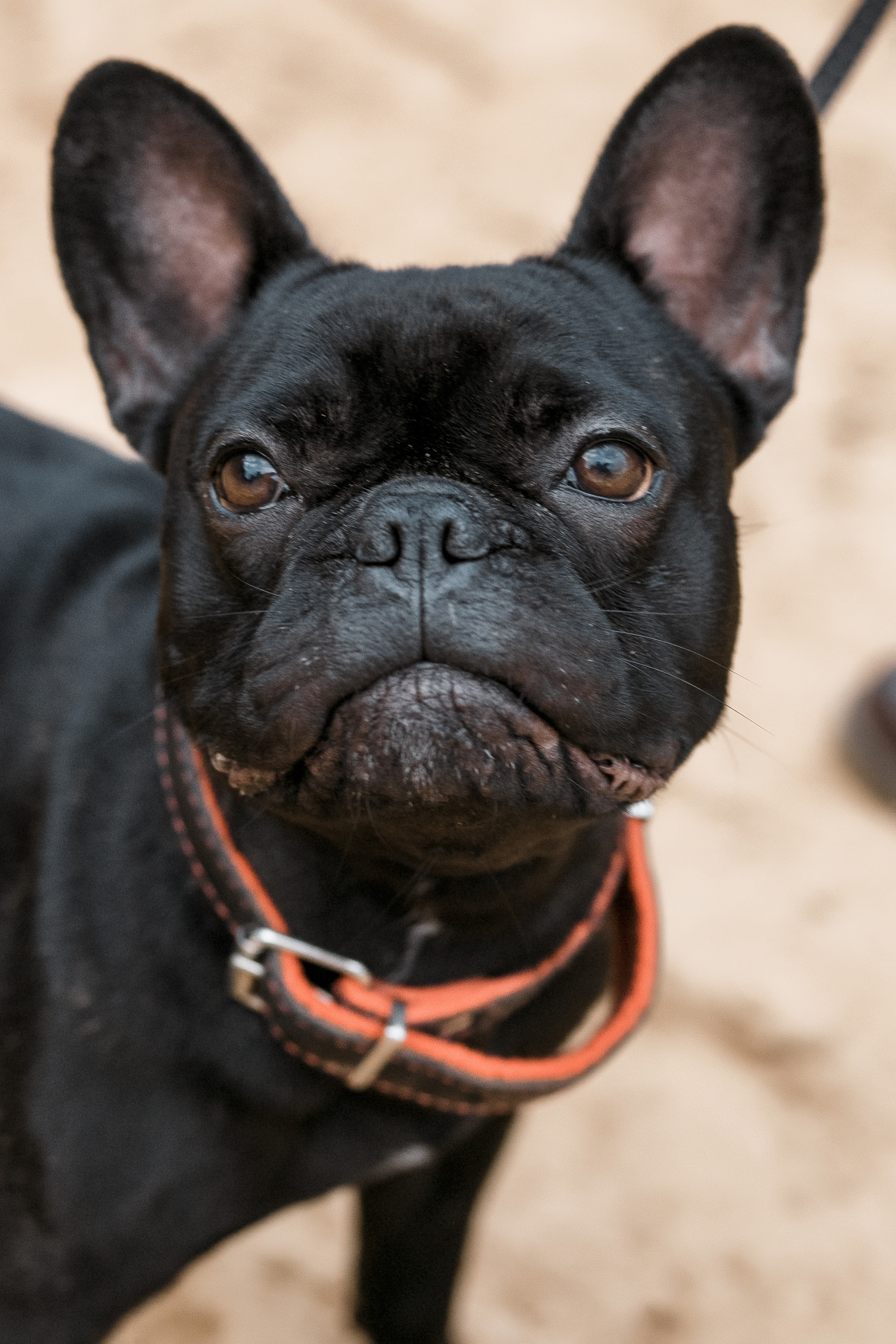 05.06.20 Wedding day. Свадебный фотограф Дмитрий Воробьев Ярославль