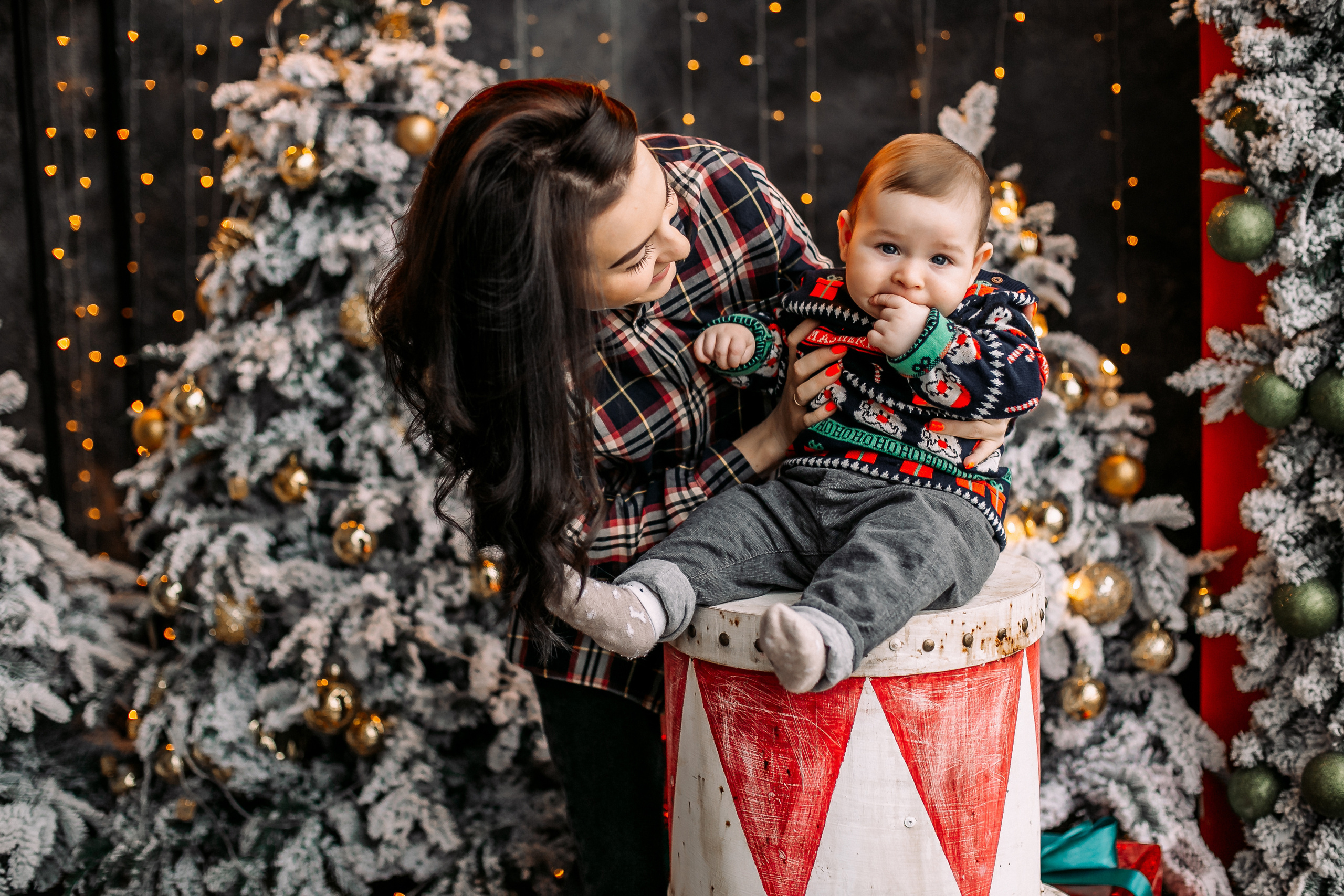 Новогодние Федяевы. Свадебный фотограф Дмитрий Воробьев Ярославль