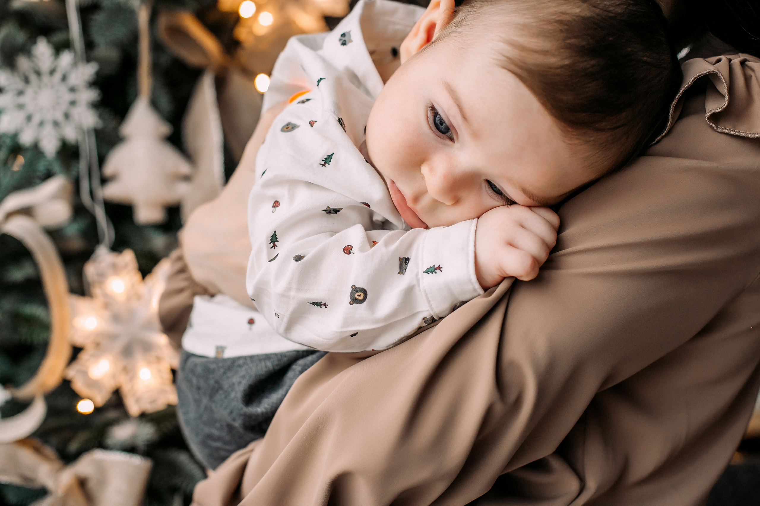 Новогодние Федяевы. Свадебный фотограф Дмитрий Воробьев Ярославль