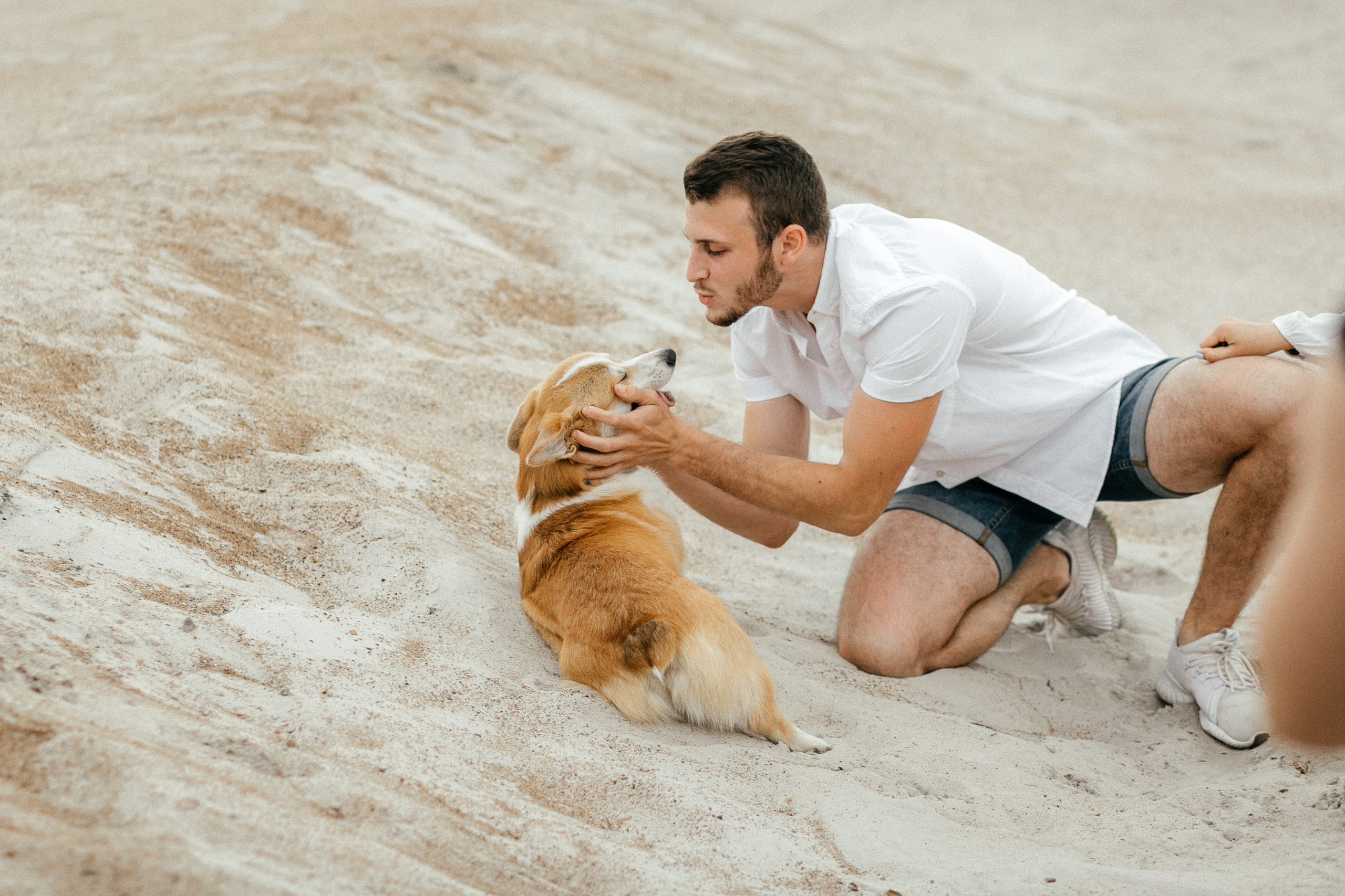 Workshop в песках. Свадебный фотограф Дмитрий Воробьев Ярославль