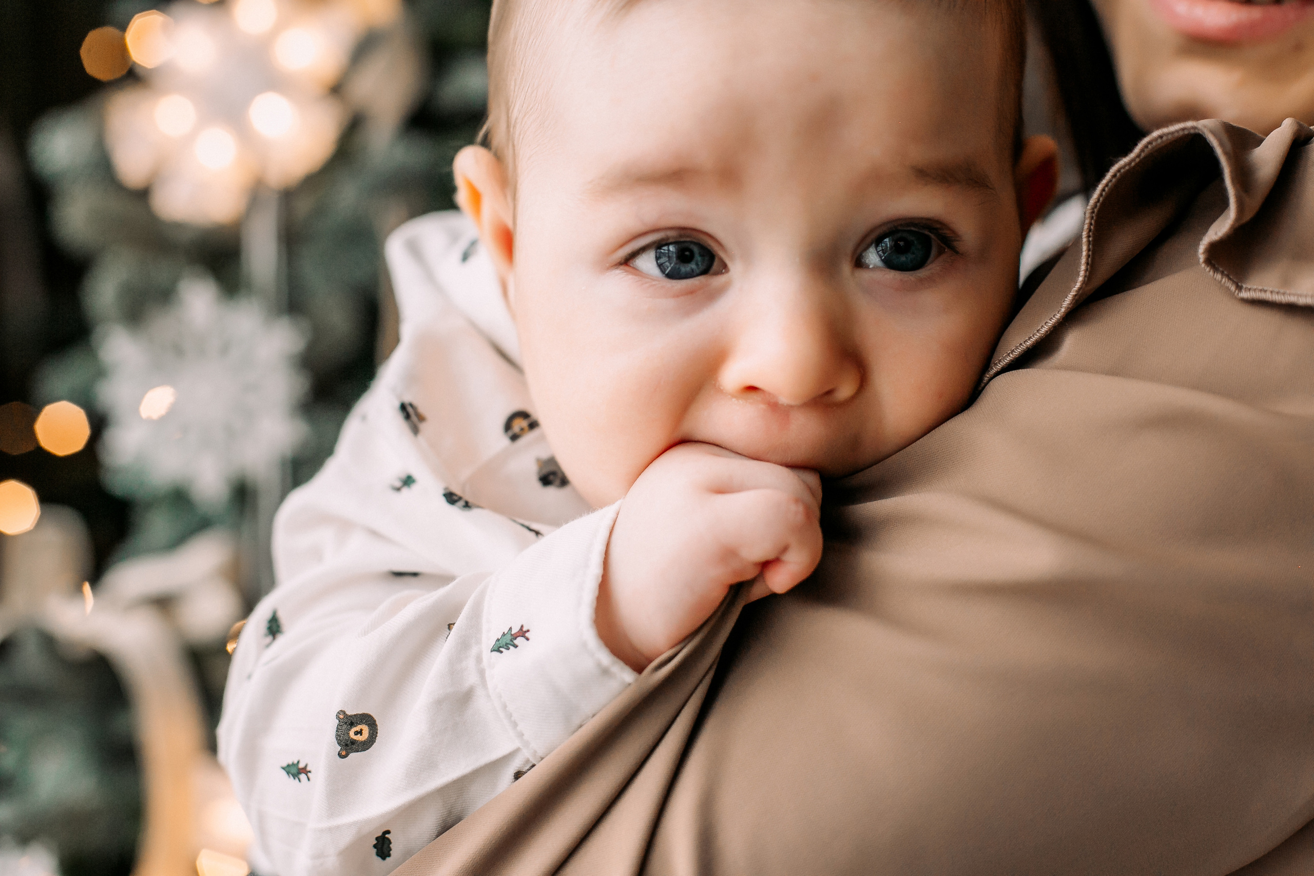 Новогодние Федяевы. Свадебный фотограф Дмитрий Воробьев Ярославль