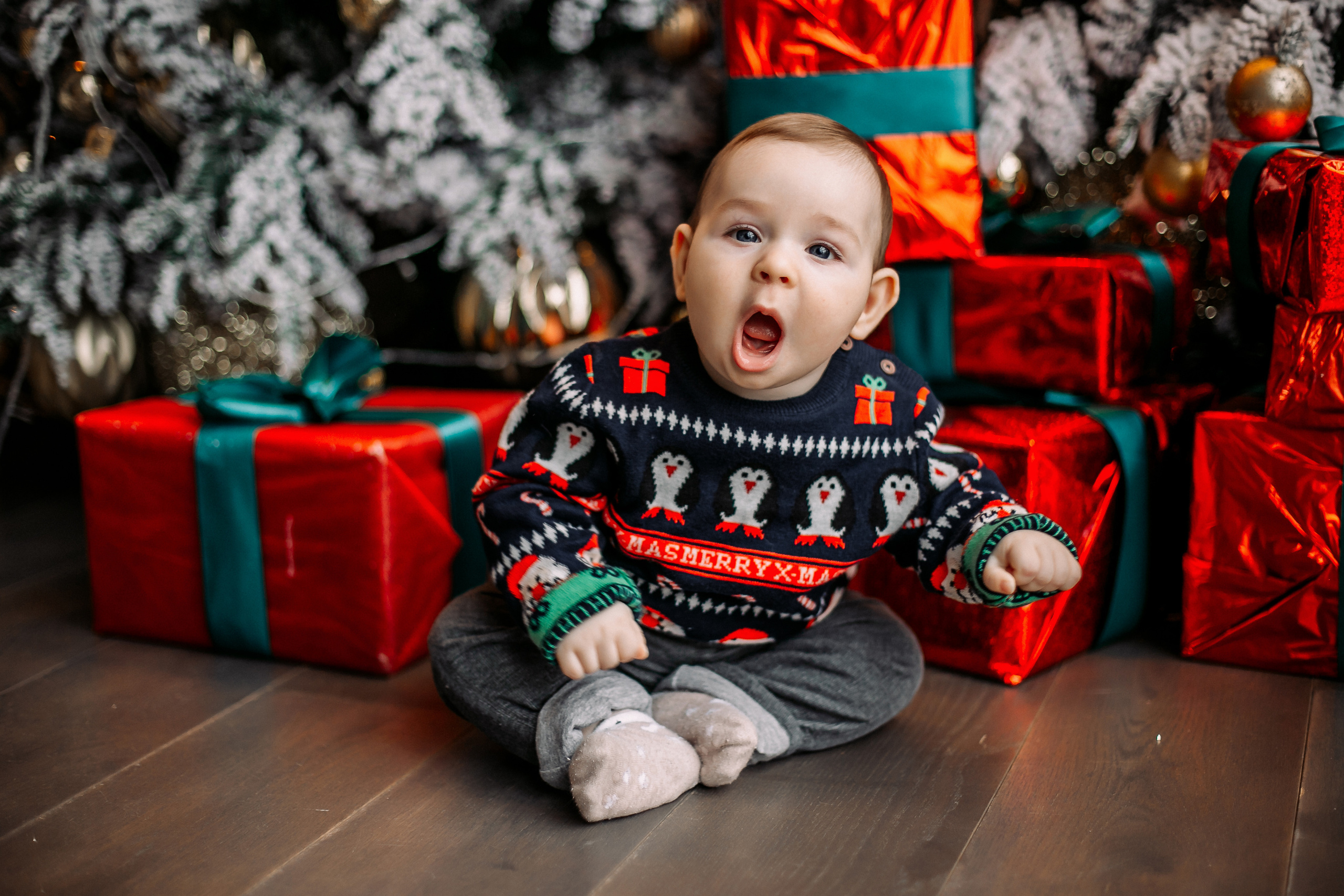 Новогодние Федяевы. Свадебный фотограф Дмитрий Воробьев Ярославль