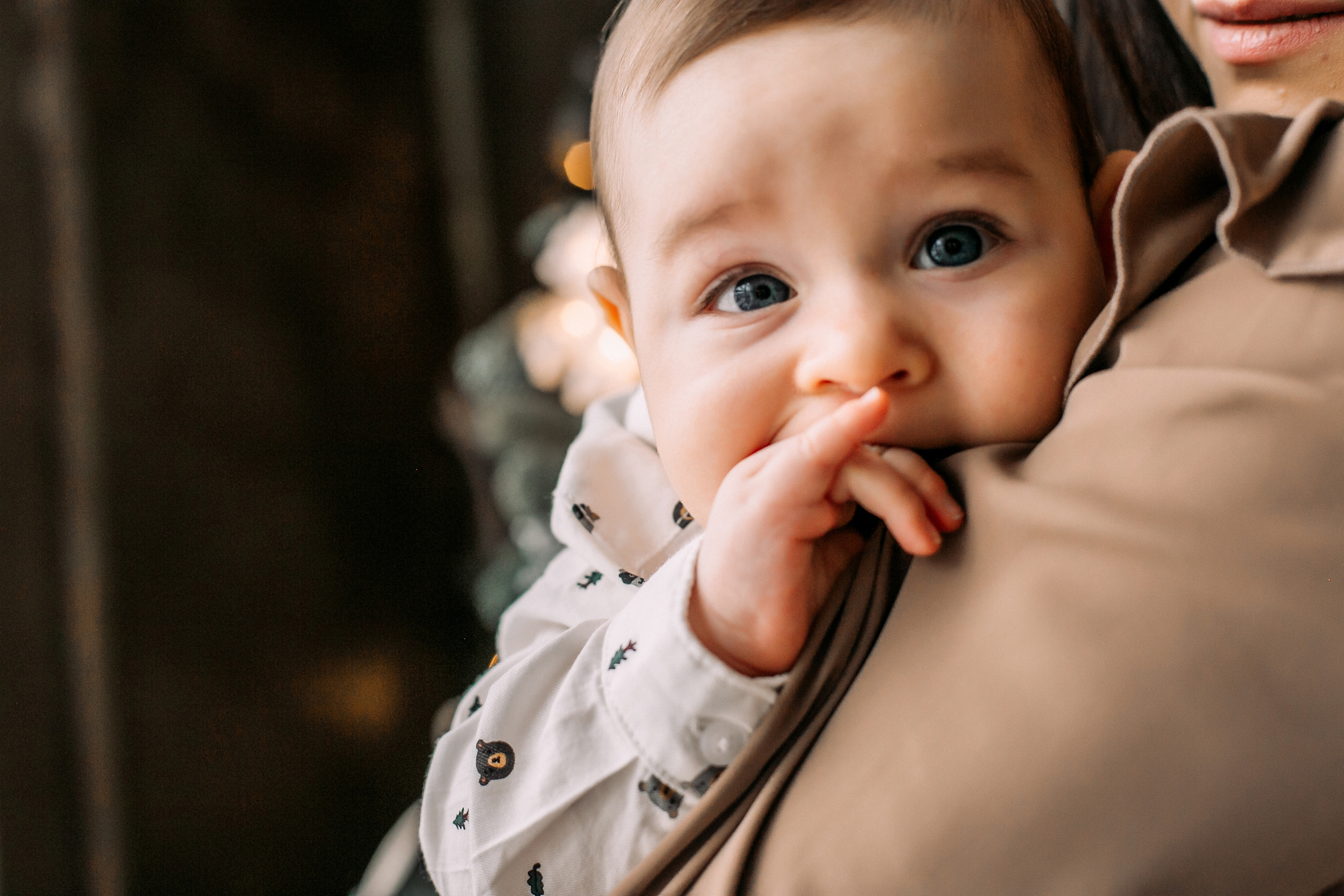 Новогодние Федяевы. Свадебный фотограф Дмитрий Воробьев Ярославль