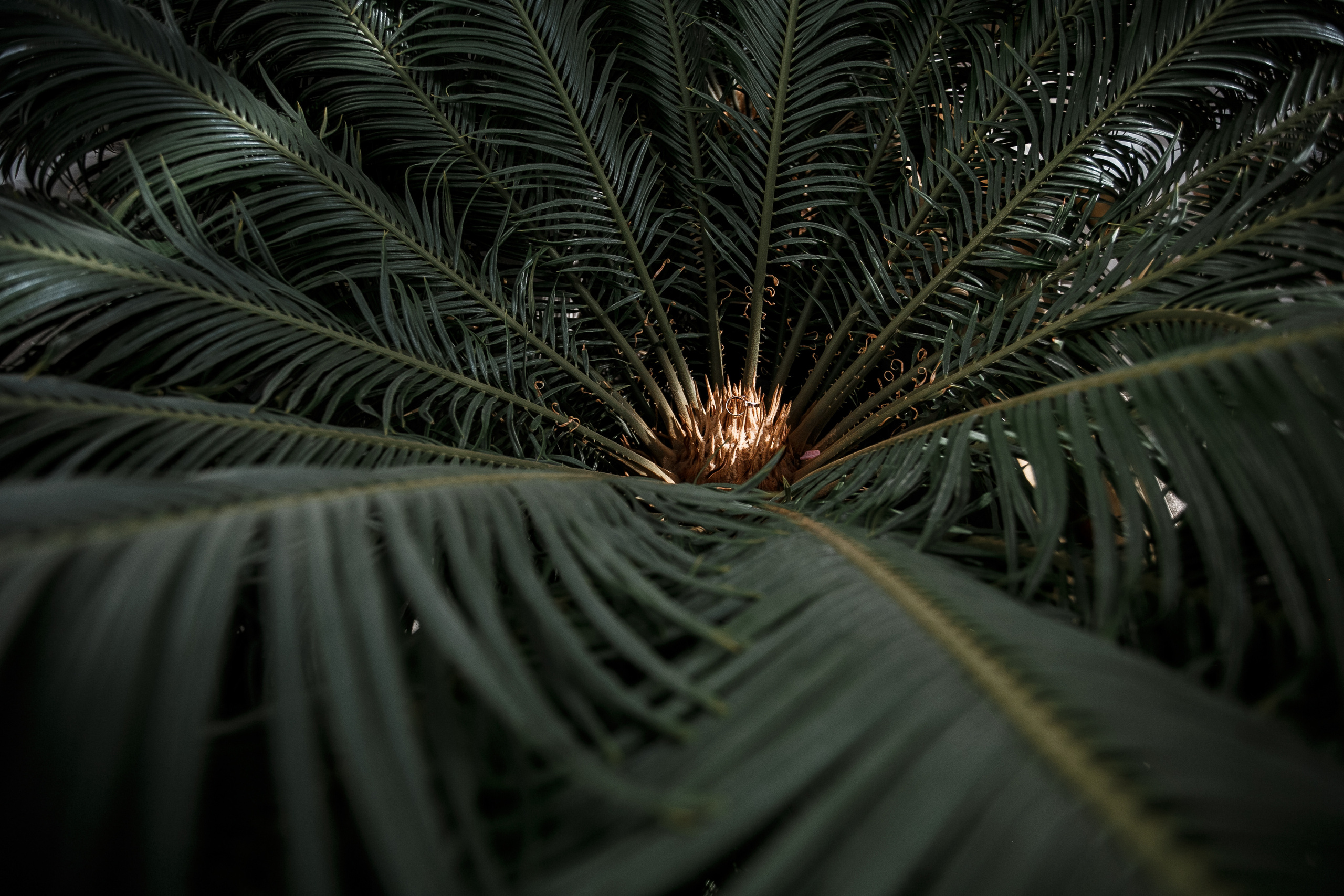 21.08.20 Wedding day. Свадебный фотограф Дмитрий Воробьев Москва Ярославль