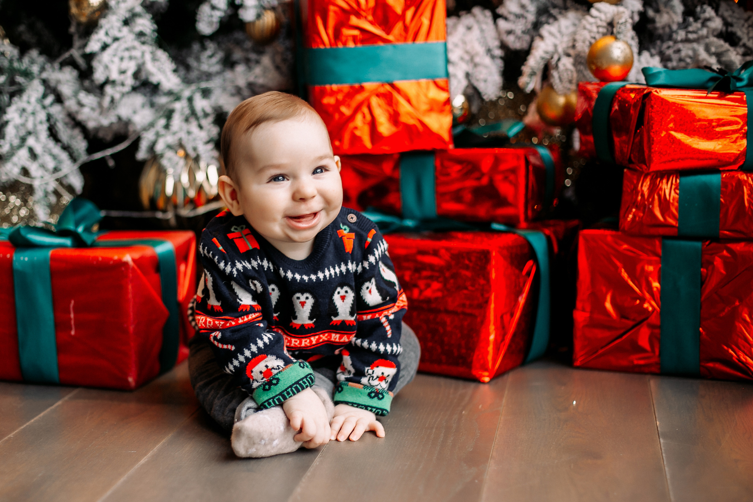 Новогодние Федяевы. Свадебный фотограф Дмитрий Воробьев Ярославль