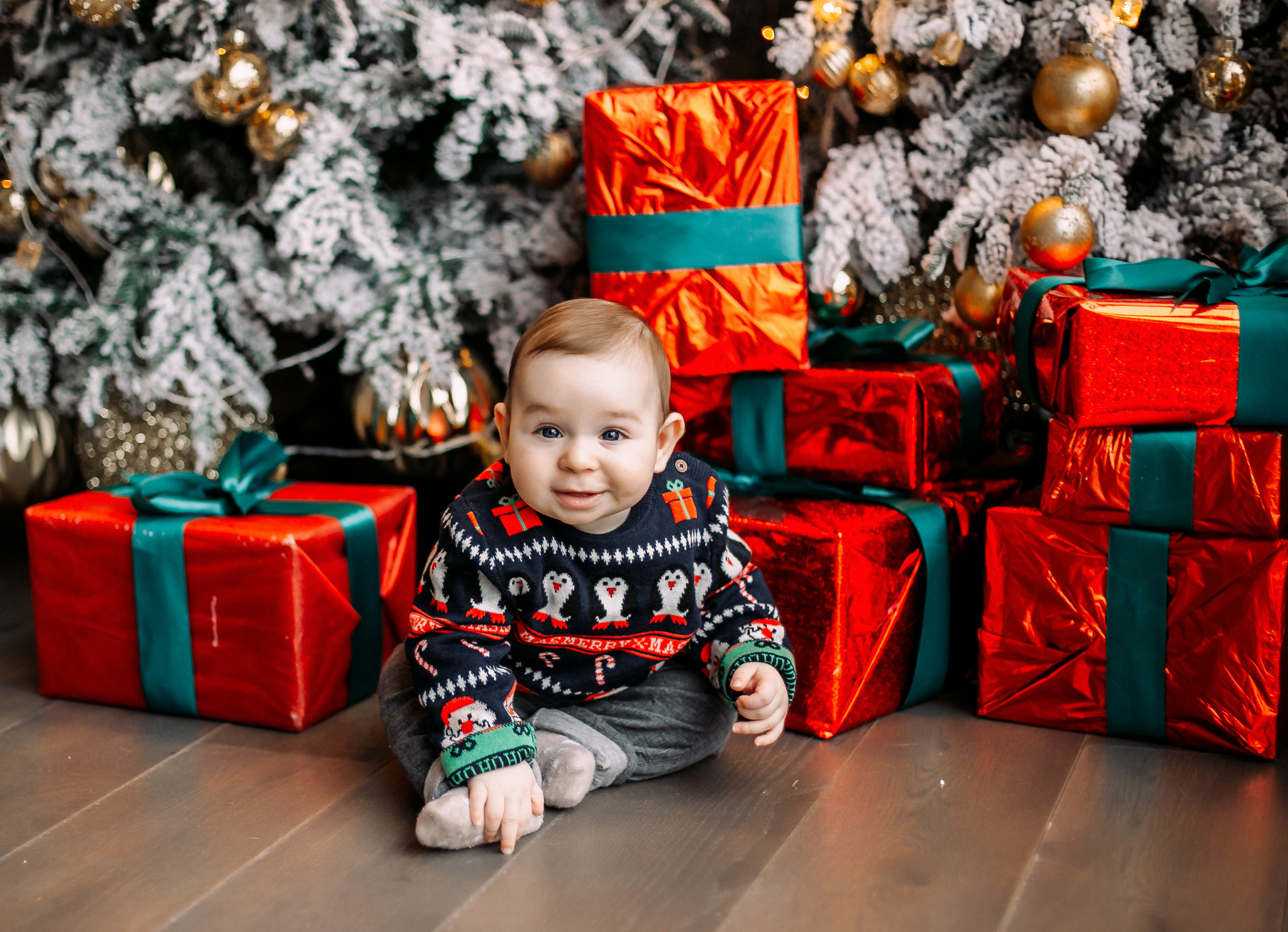 Новогодние Федяевы. Свадебный фотограф Дмитрий Воробьев Ярославль