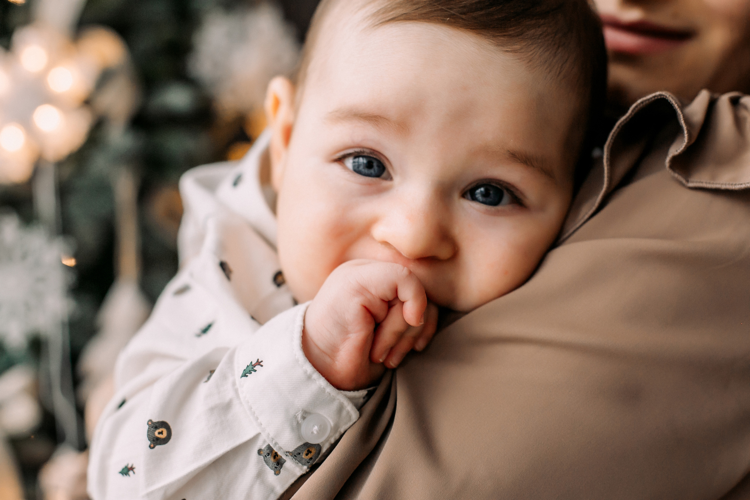 Новогодние Федяевы. Свадебный фотограф Дмитрий Воробьев Ярославль