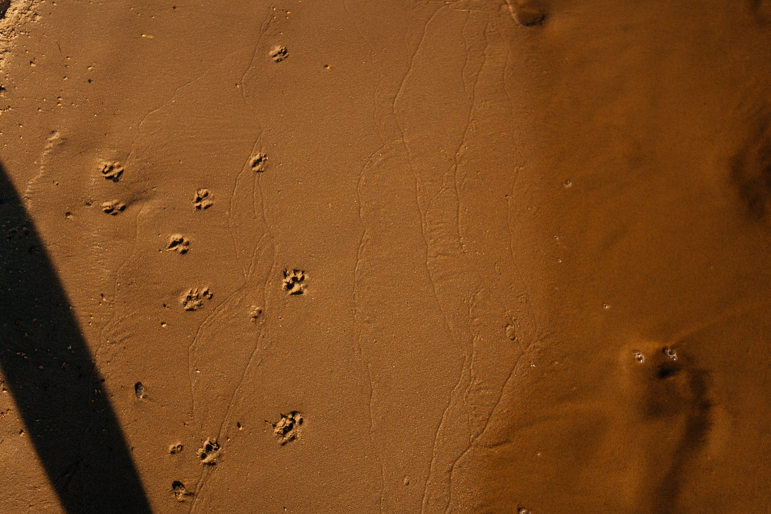 На море. Свадебный фотограф Дмитрий Воробьев Ярославль