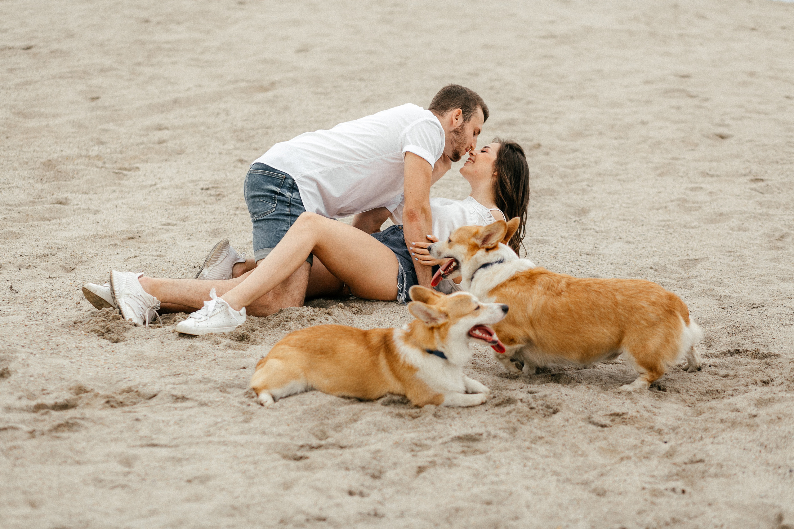 Workshop в песках. Свадебный фотограф Дмитрий Воробьев Ярославль