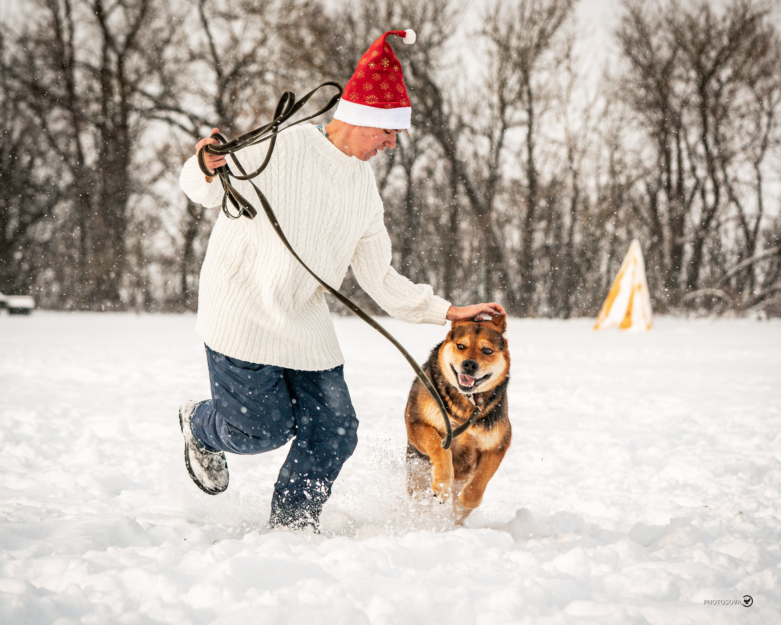 ФОТОПАМЯТЬ ВАШИХ ЭМОЦИЙ. Фотограф-анималист, семейный фотограф в Москве и Подмосковье. Фотосъёмка кинологических дисциплин