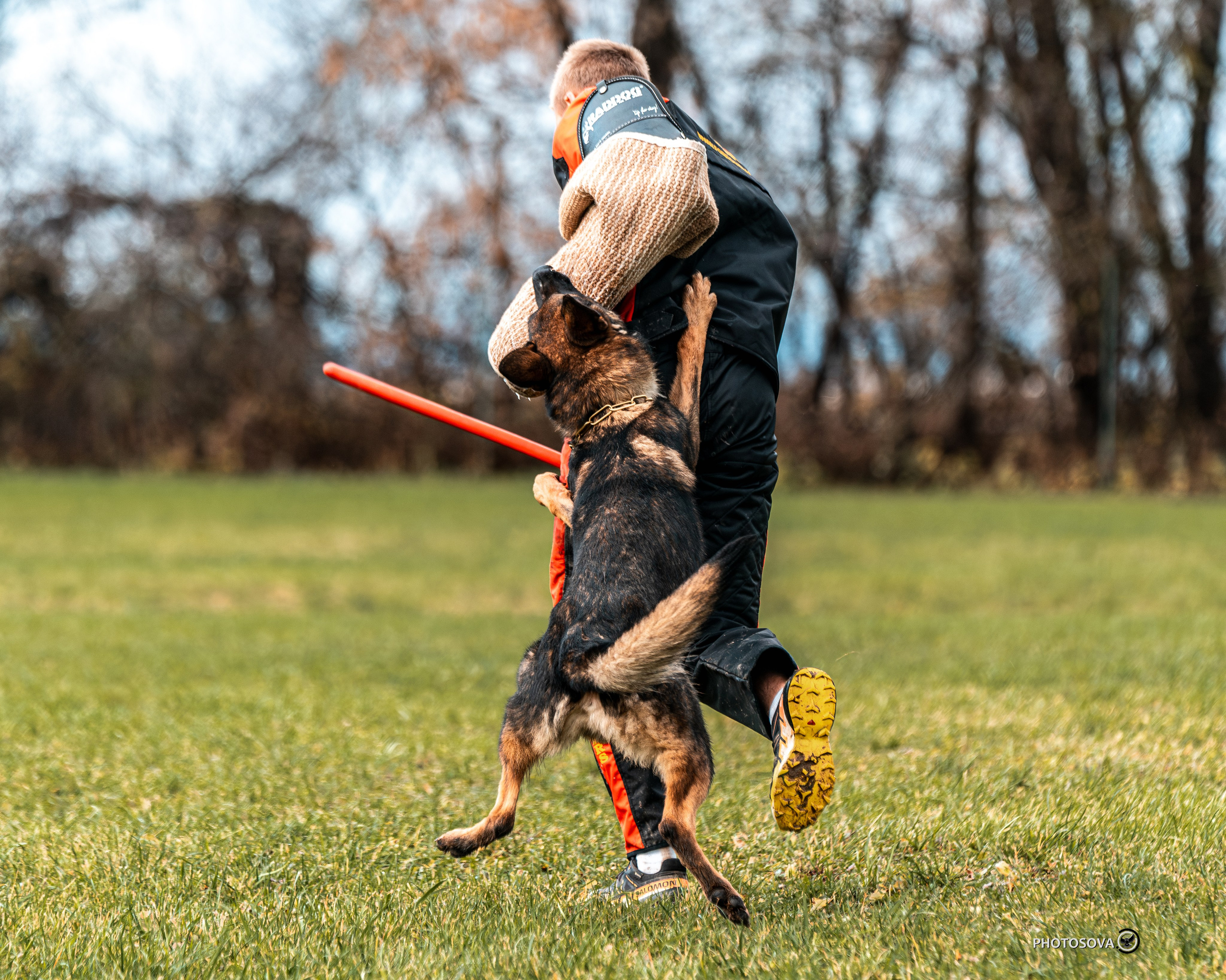 МЫ — КОМАНДА (соревнования) OKD, BH, IBGH, IGP. Фотограф-анималист, семейный фотограф в Москве и Подмосковье. Фотосъёмка кинологических дисциплин