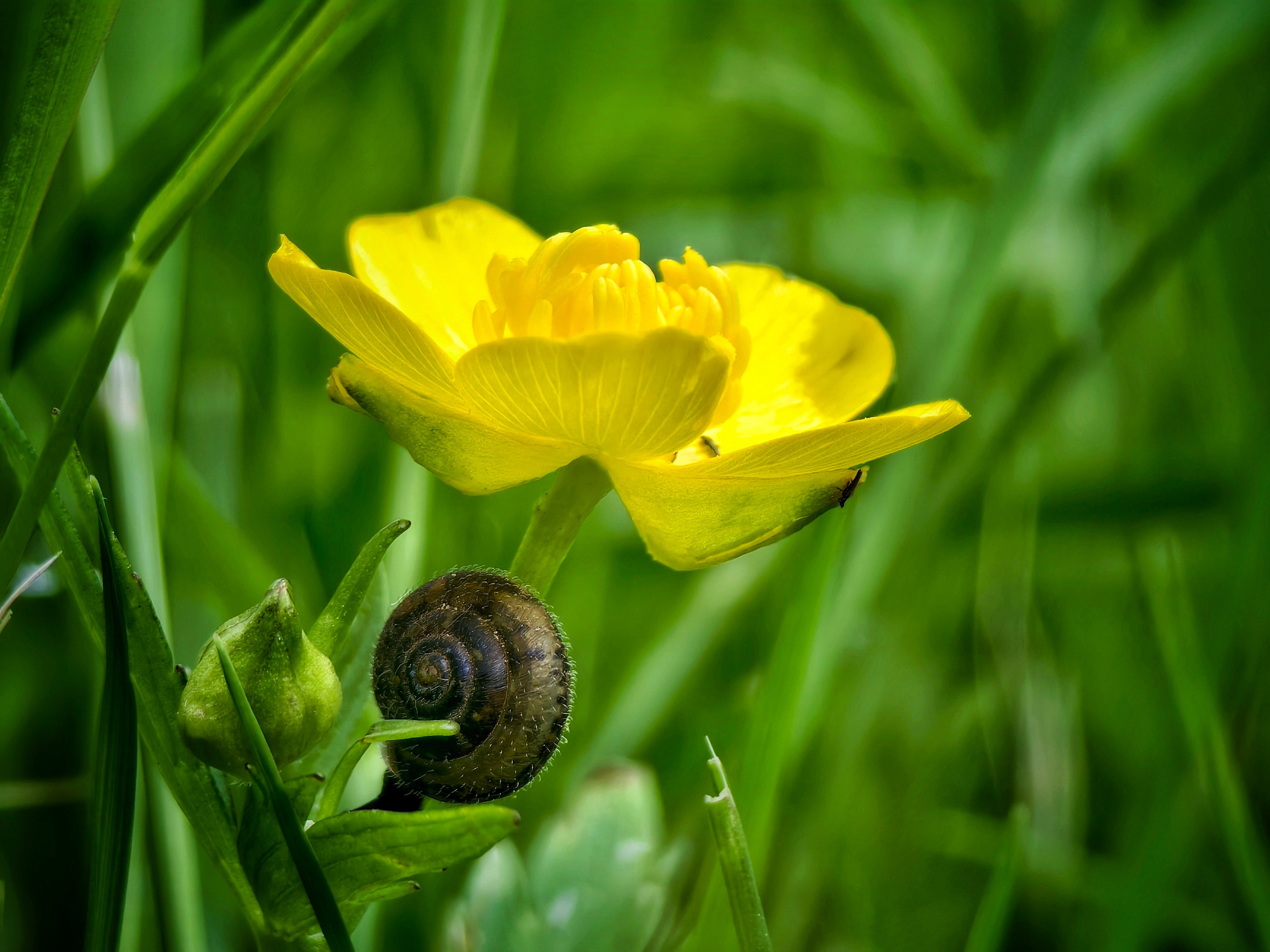 Большое в малом