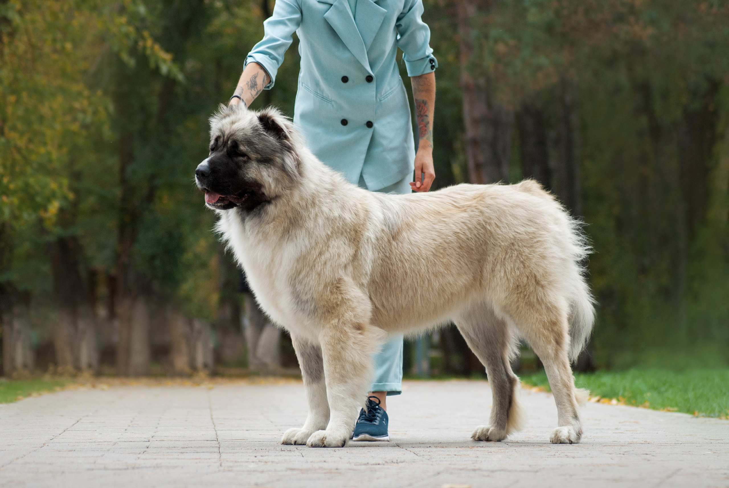 Шоу. Фотограф в Тюмени Лизавета Сапицкая