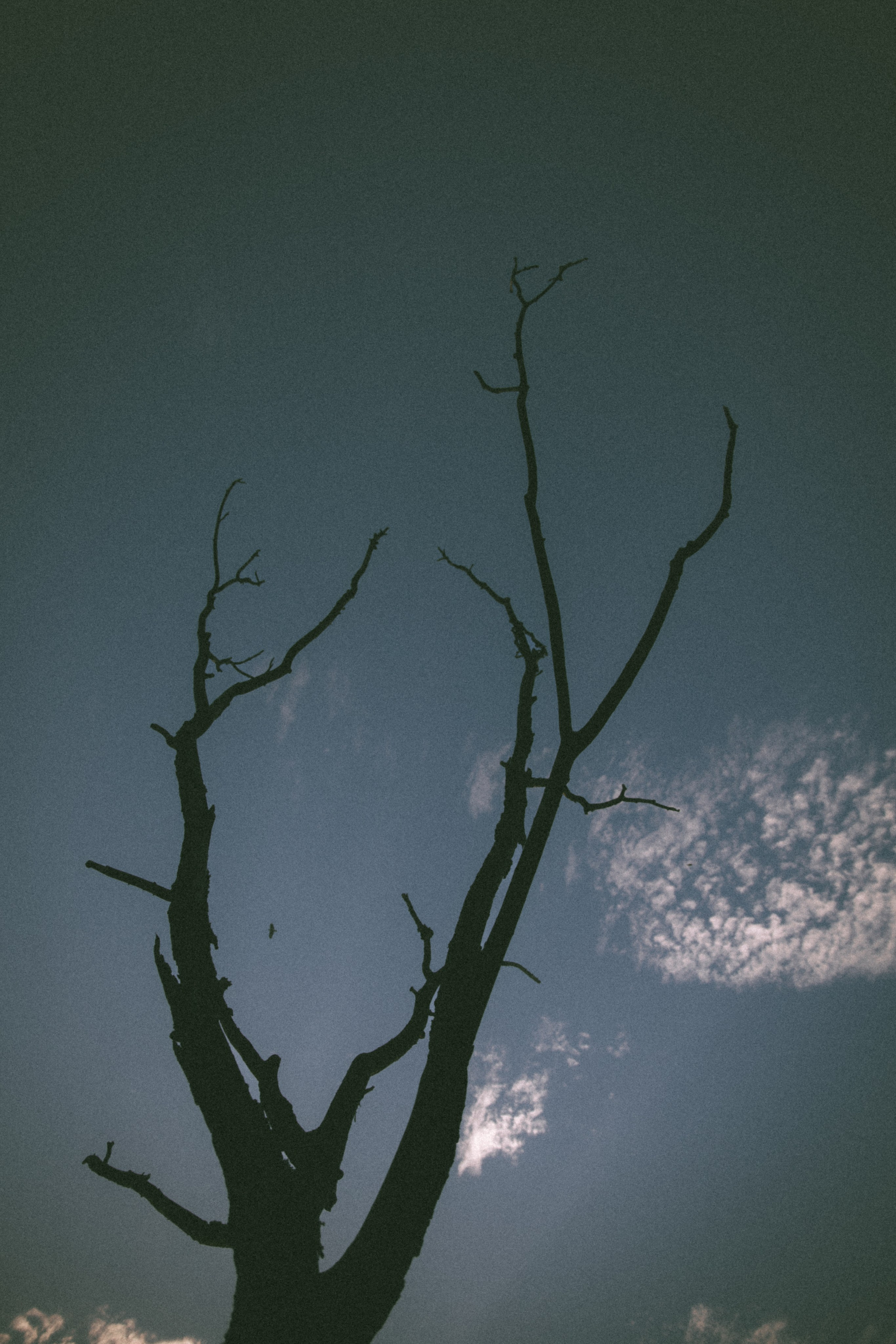 " и ничего больше нет "