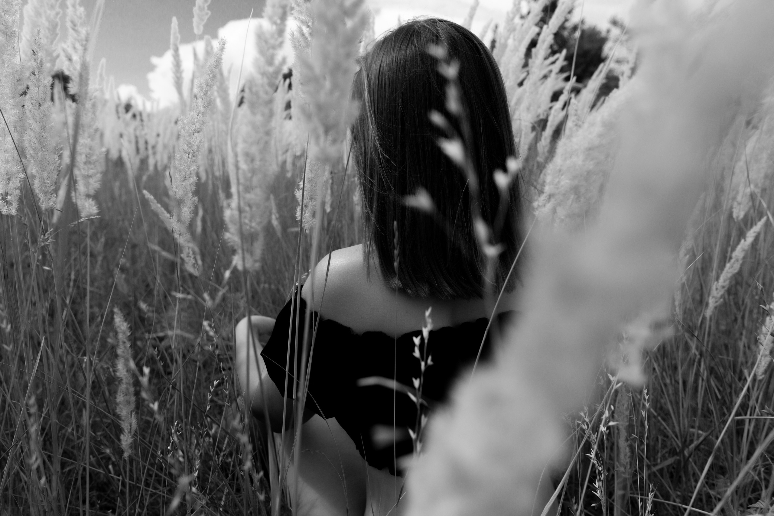 В колосках. Фотограф в Краснодаре